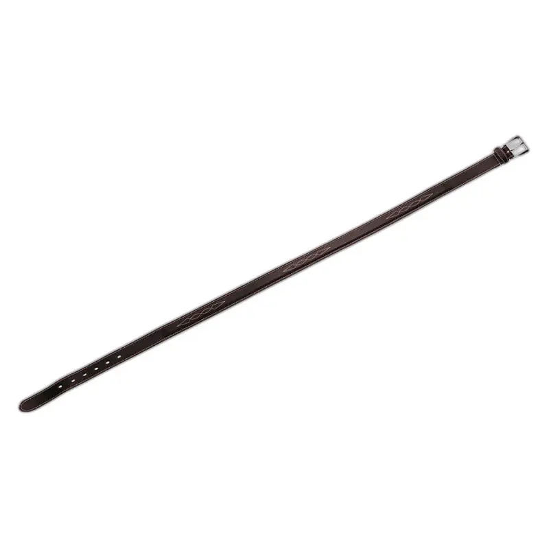 Equithème Marron Belt Fancy