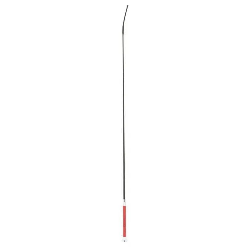 Dressurgerte Whip & Go