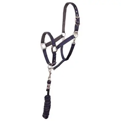 Comparer les prix de Licol pour cheval et laisse en cuir nylon ANKY