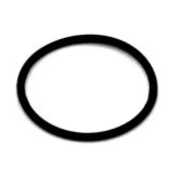 Velo Store - UK O-ring for motor Black Bearing Bosch Repère 5 Generation 3 | Extra 10% off with Subscription, Postage £16.79 to UK Fedex.