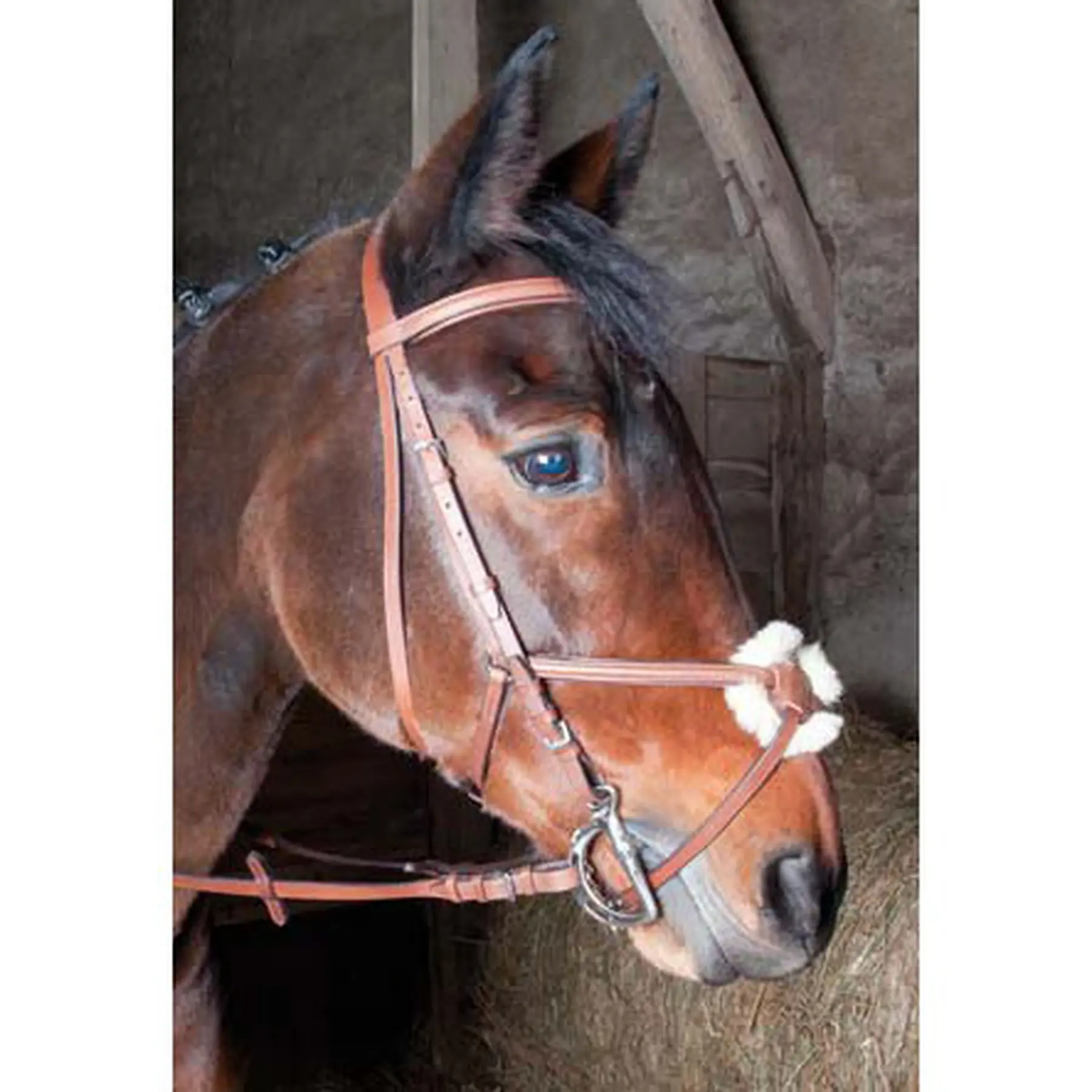 Comparer les prix de Bridons équitation croisé T de T Sisley