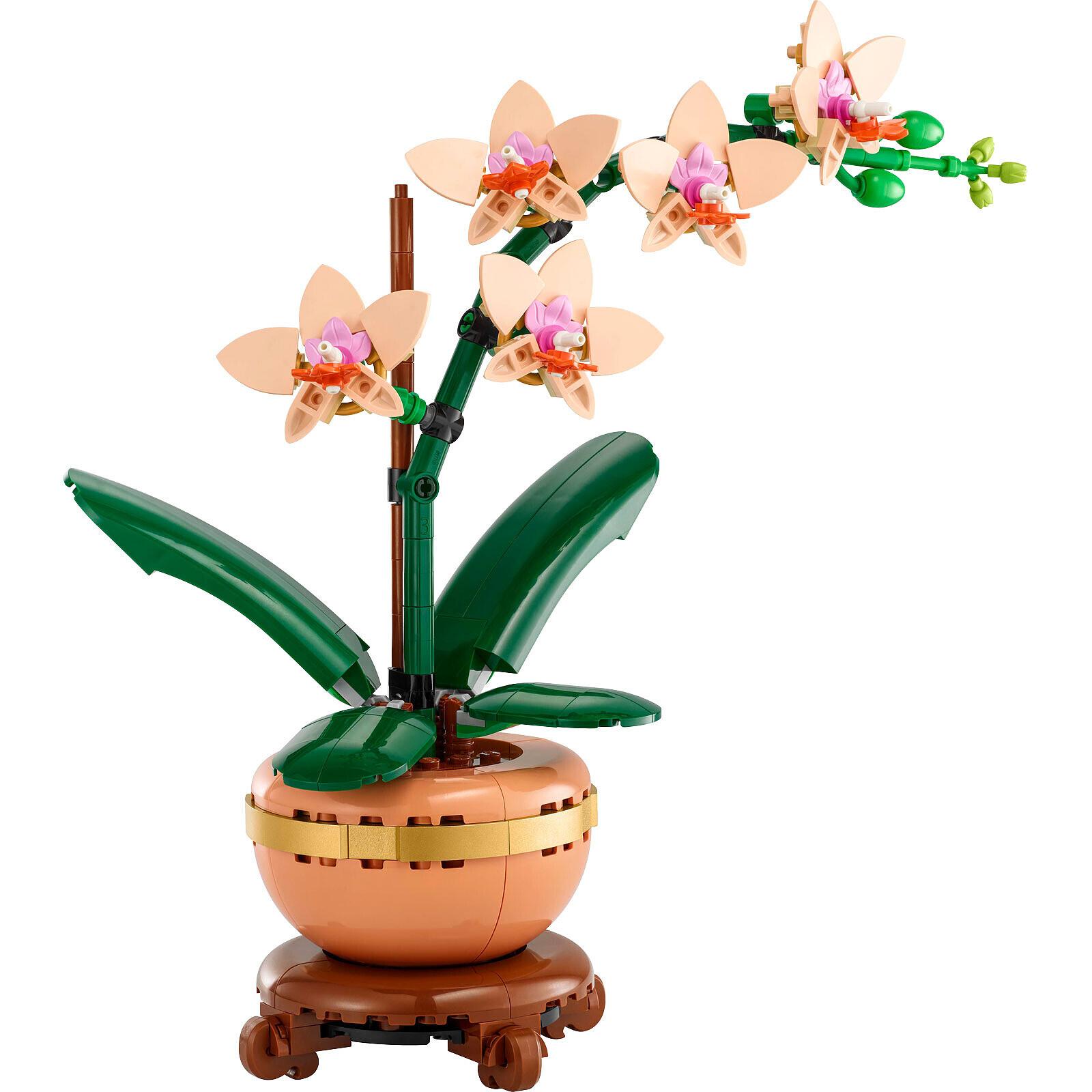 5702017814643 - 10343 Botanicals Mini-Orchidee Konstruktionsspielzeug