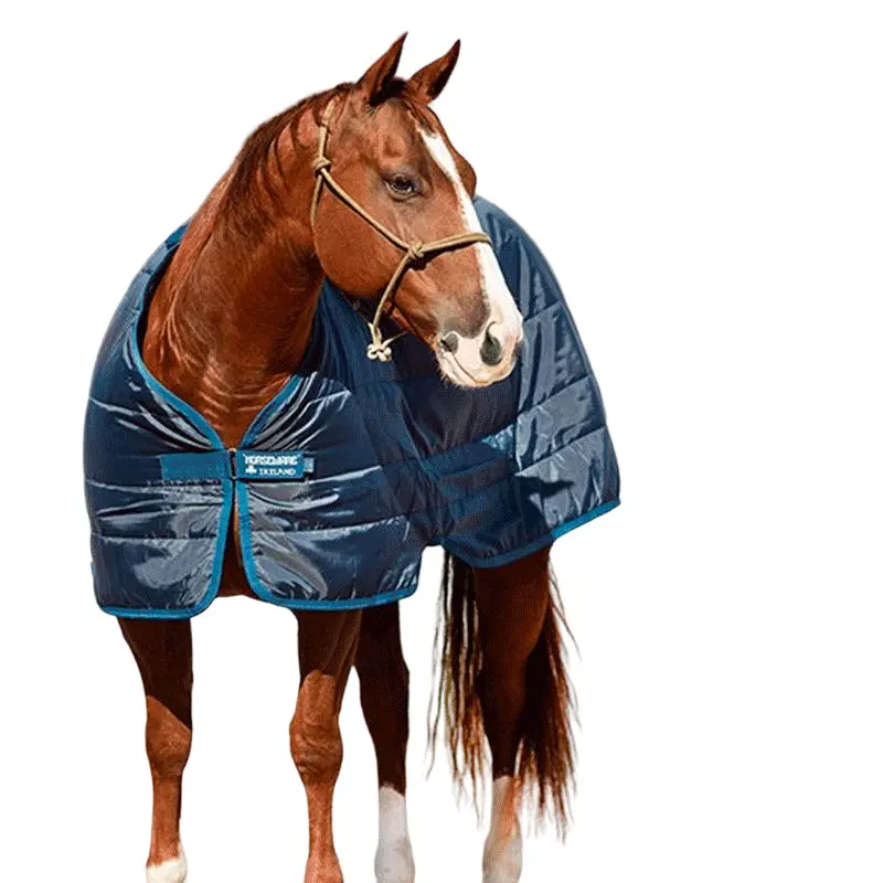 Deckeneinlage für Pferd 300g Horseware