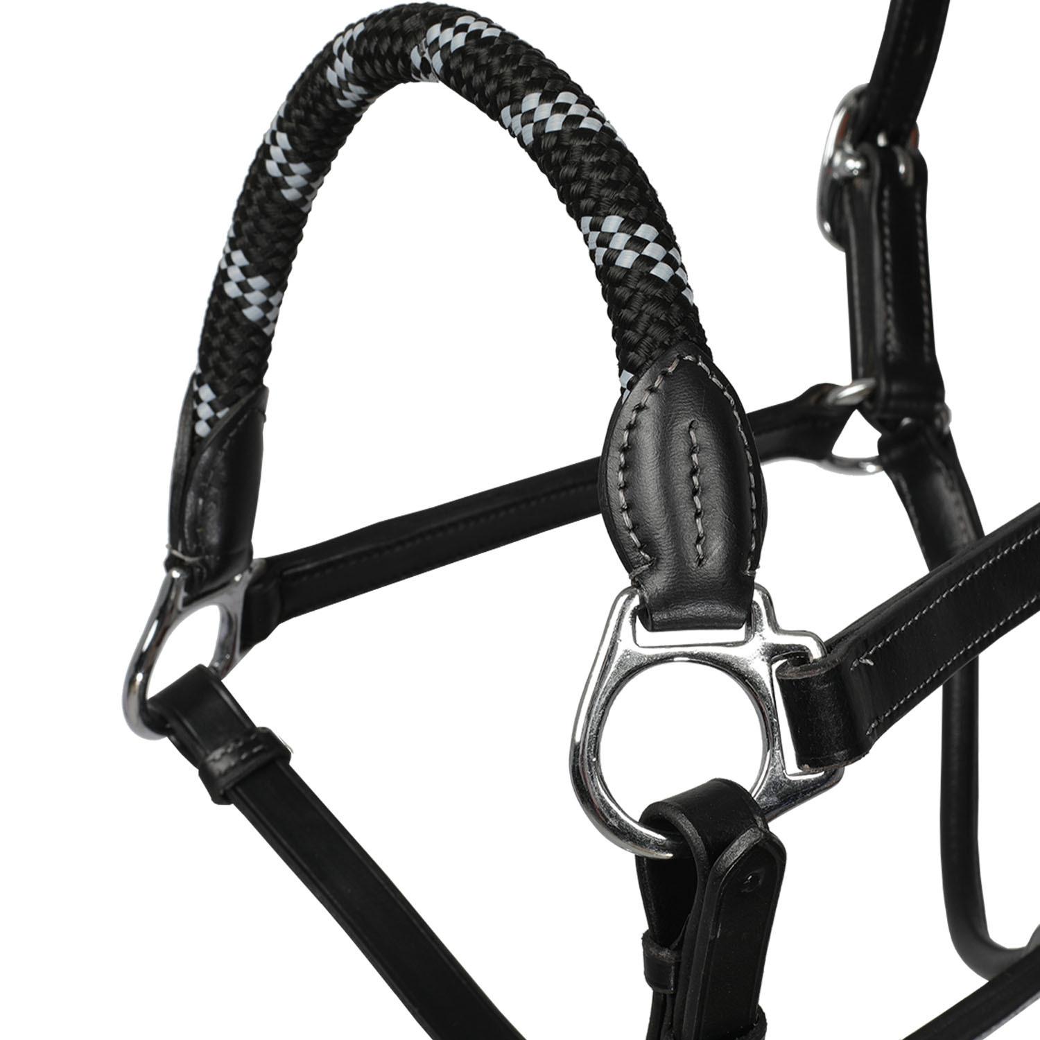 product/a/c/acavallo_ac9707-black_black_2.jpg