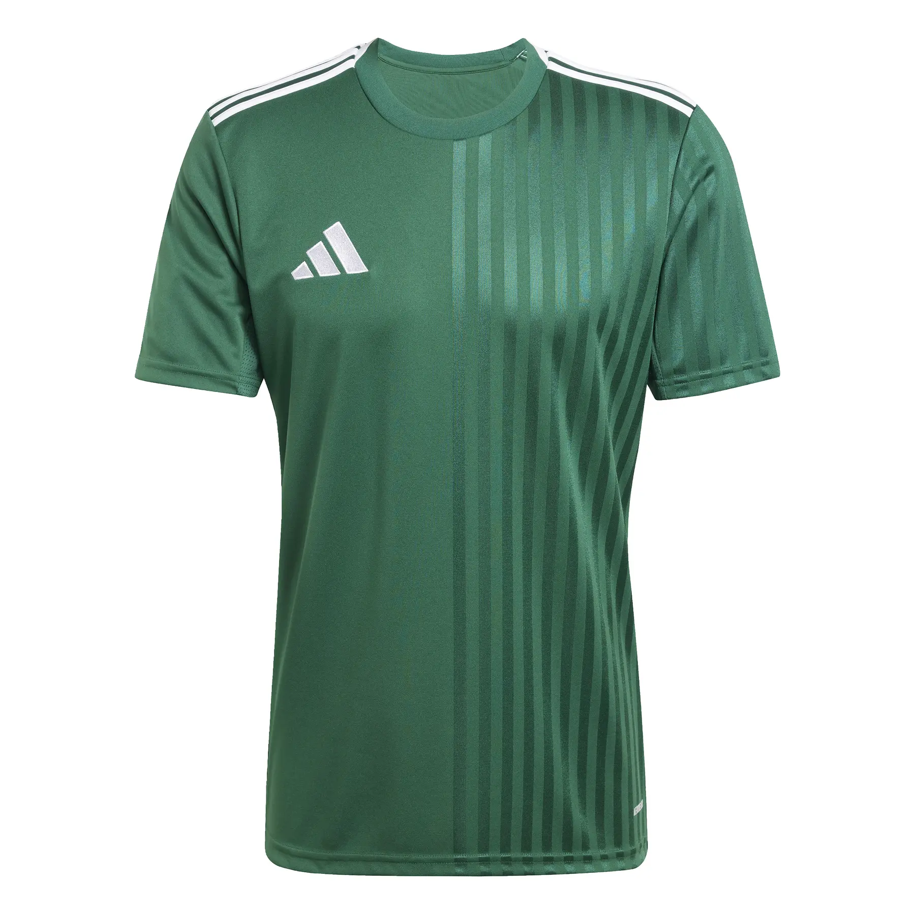 Trikot Campeon25 - Vert - male - Size: XS