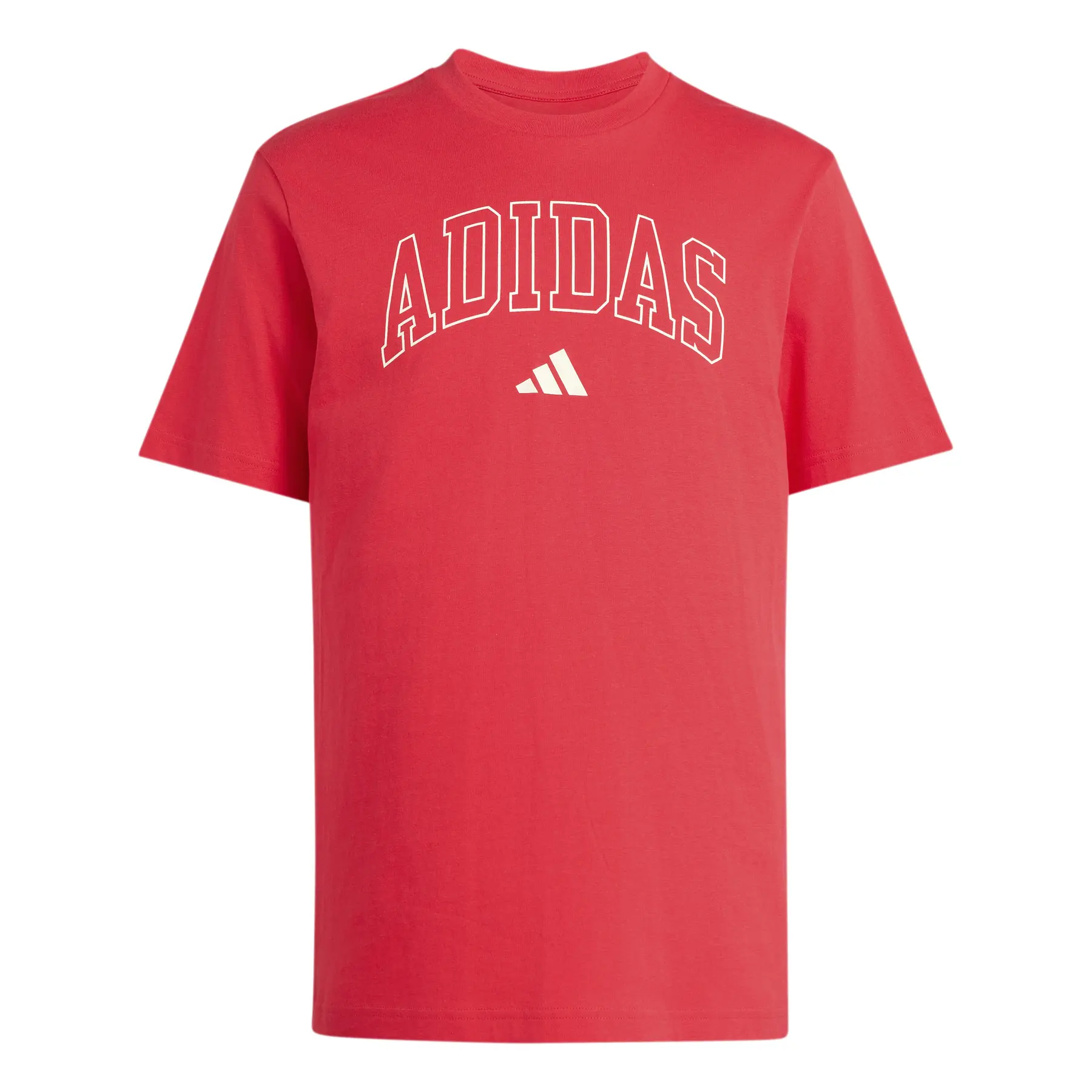 Adidas Rouge T-Shirt Collegiate Lineage Graphic
