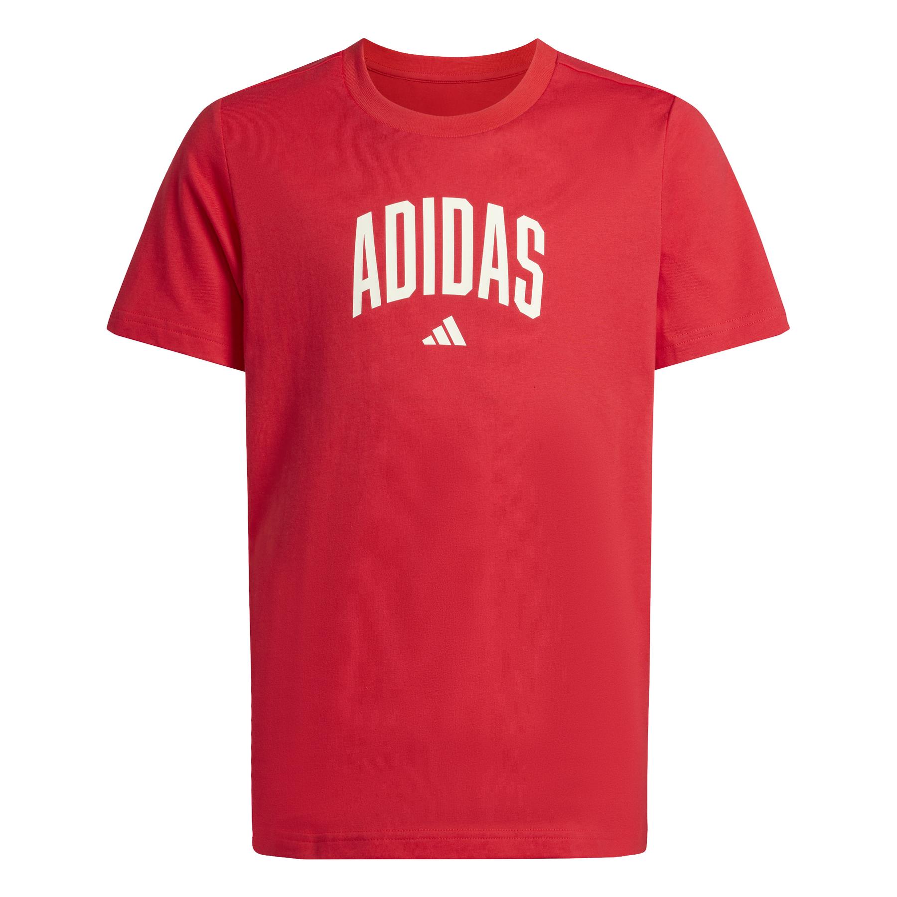 4068821679221 - T-Shirt adidas Collegiate Graphic
