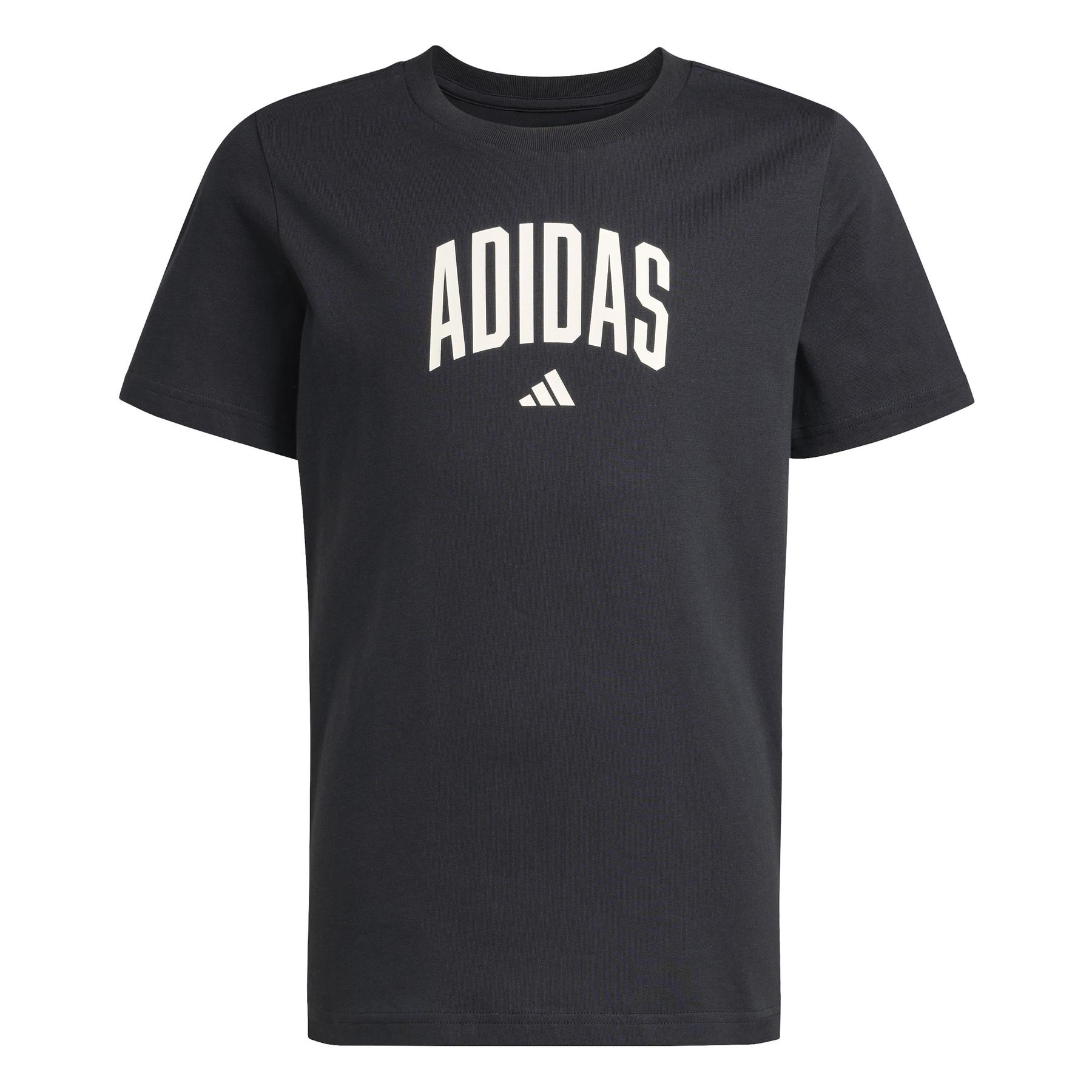 4068821970953 - T-Shirt adidas Collegiate Graphic