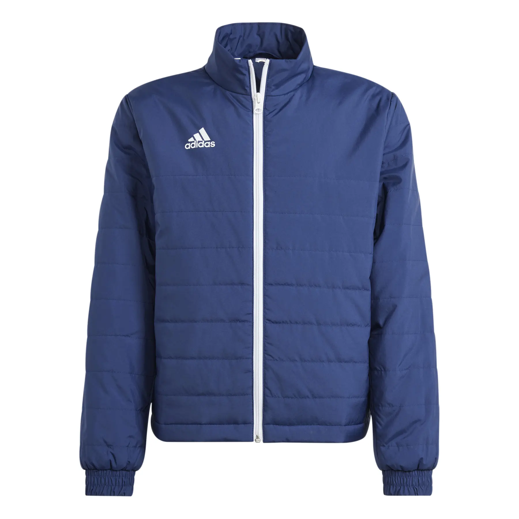 4066749730758 - Leichte Daunenjacke Kind adidas Entrada