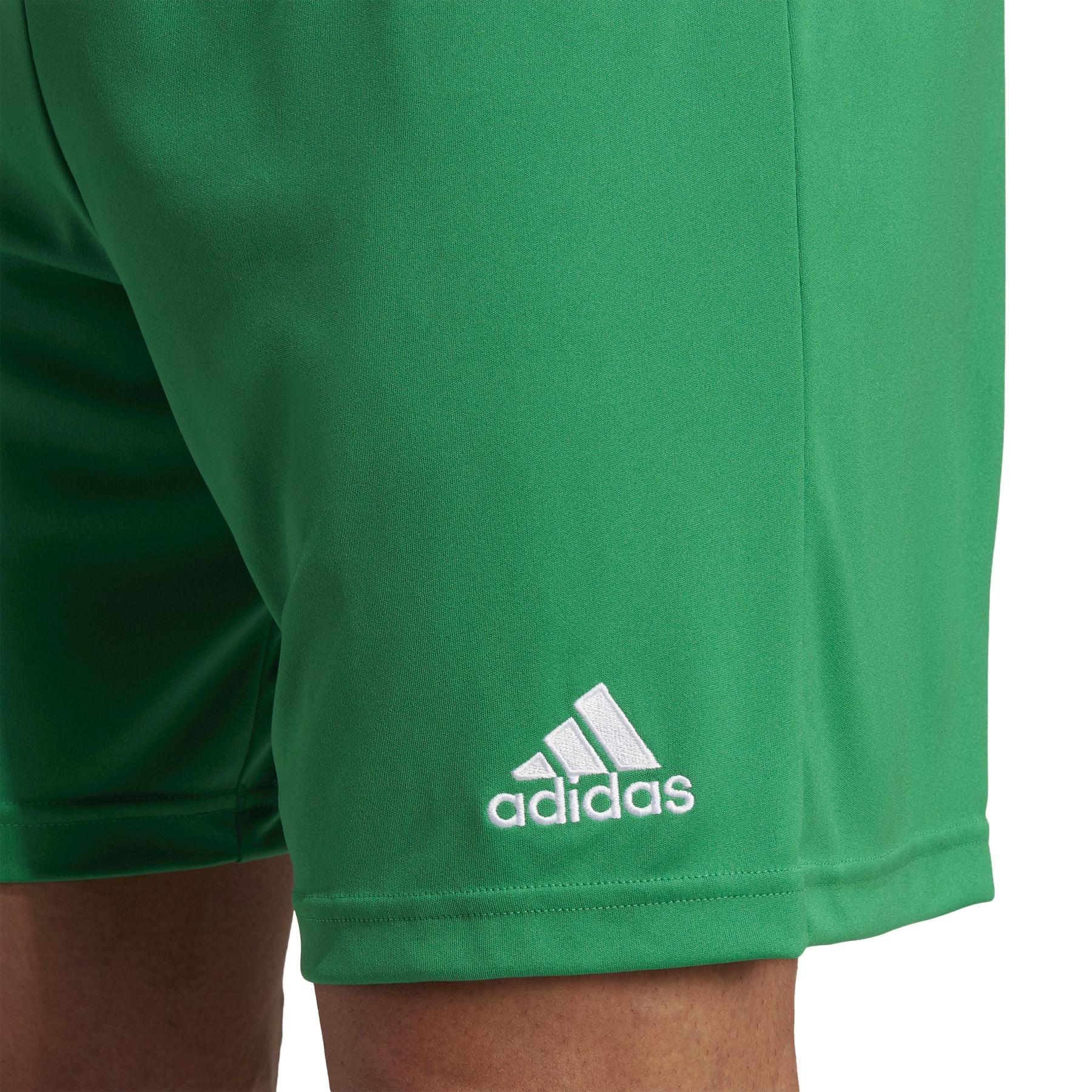 product/a/d/adidas_ic7405_6_apparel_on_model_detail_view_1_white.jpg