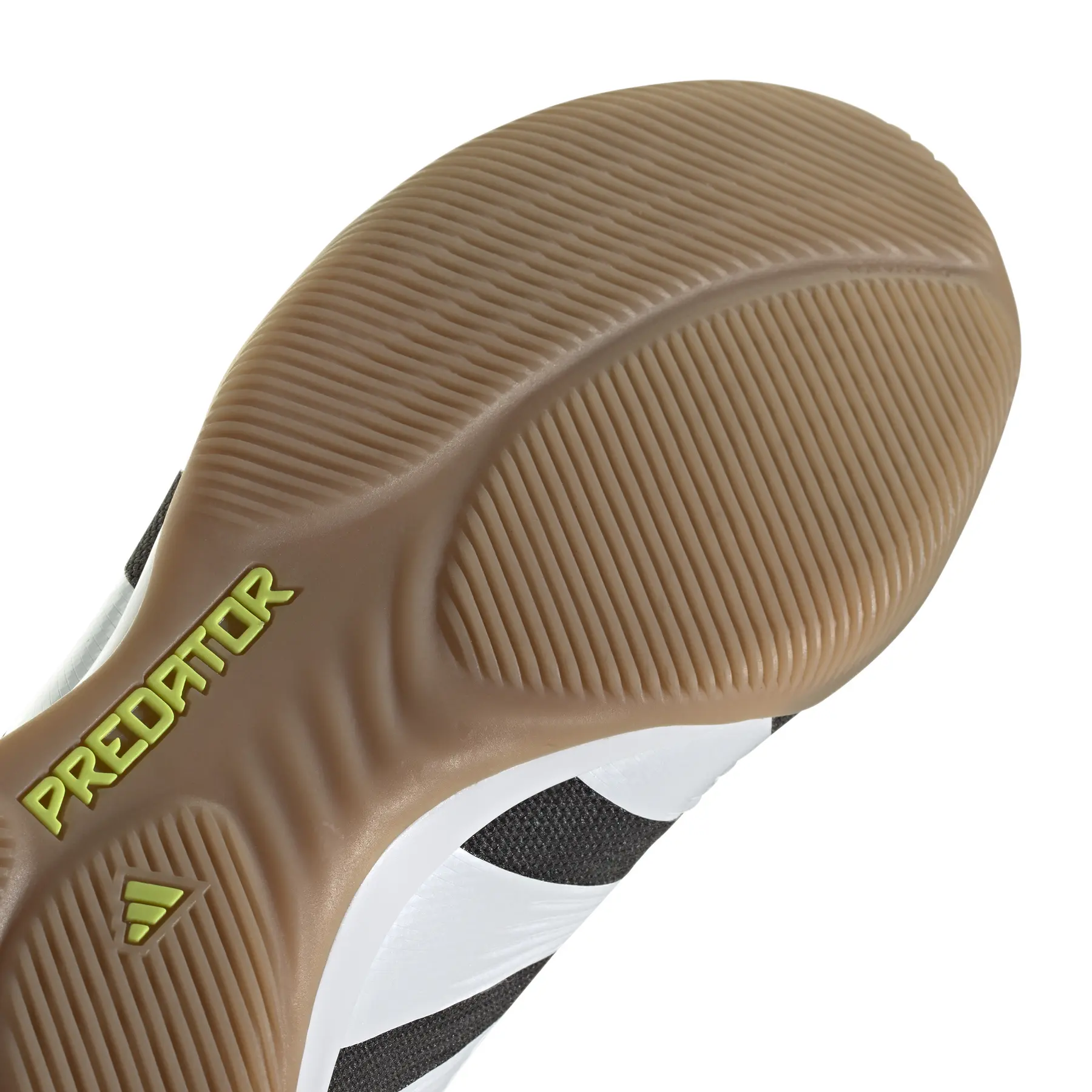 Football boots adidas Predator Elite Indoor | Foot-Store
