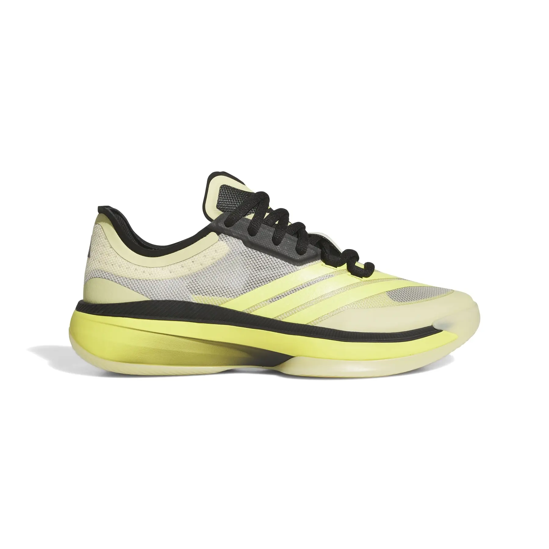 Adidas Chaussures de basketball adidas Adizero Select 3.0