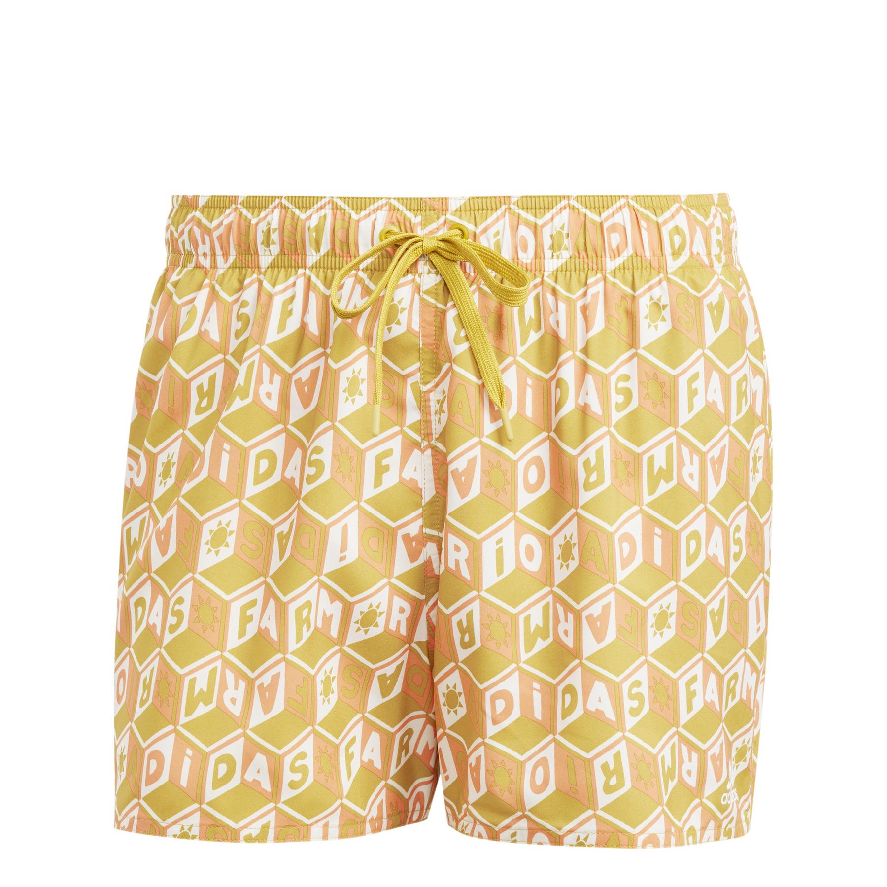 4066757279591 - Badehose adidas Farm 3 Stripes Clx