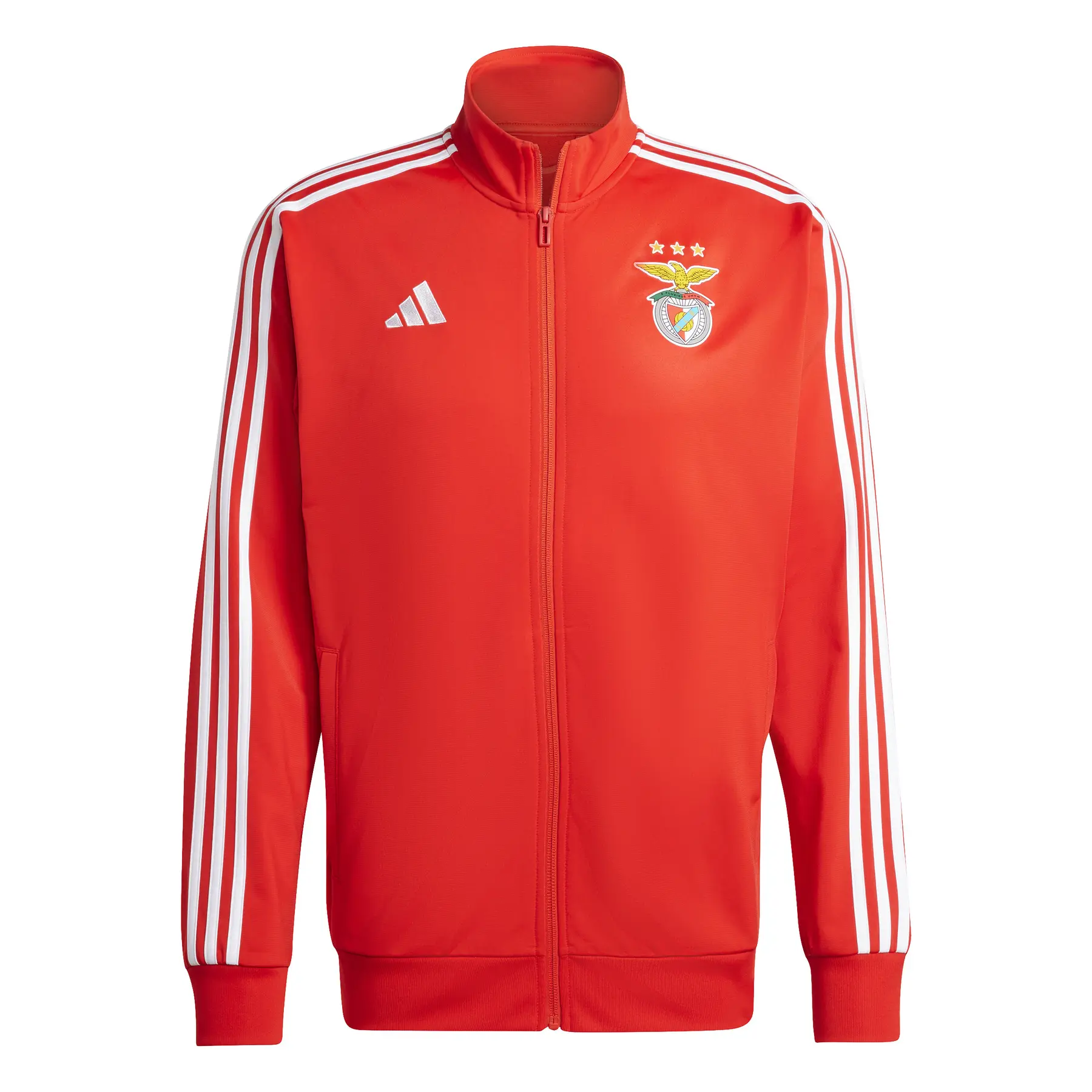 4067896659640 - Trainingsjacke Benfica Lisbonne DNA 2024 25