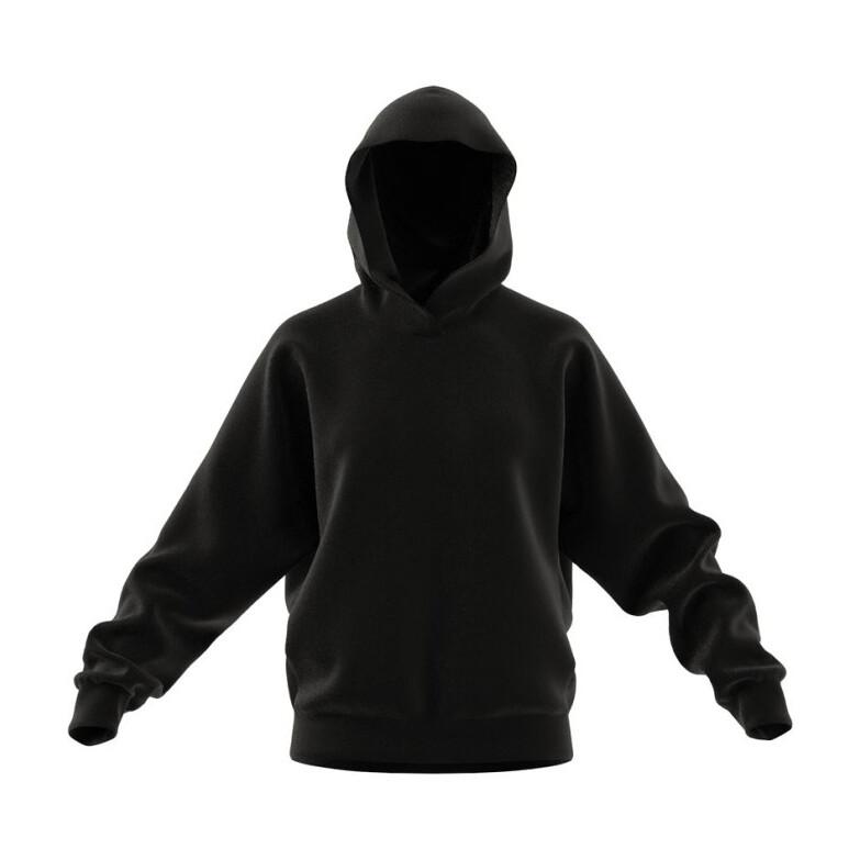 4066766055322 - Hoodie Damen adidas All Szn Fleece Graphic Boyfriend