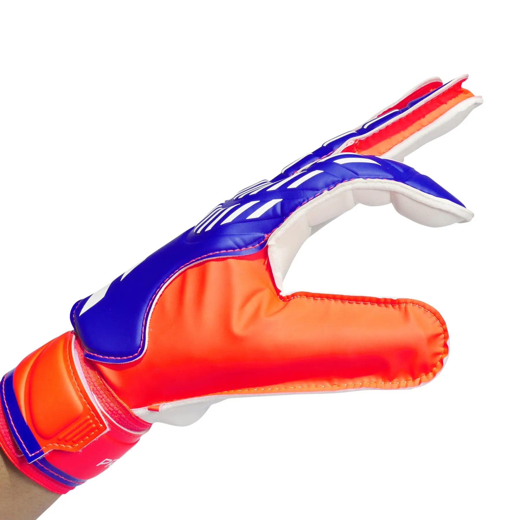 Goal training gloves adidas Predator | Foot-Store