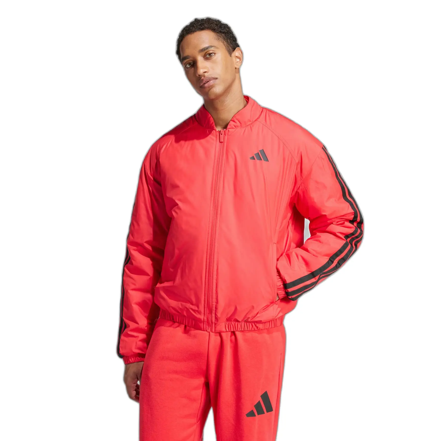 Waterproof jacket adidas Essentials 3-Stripes | Handball-Store