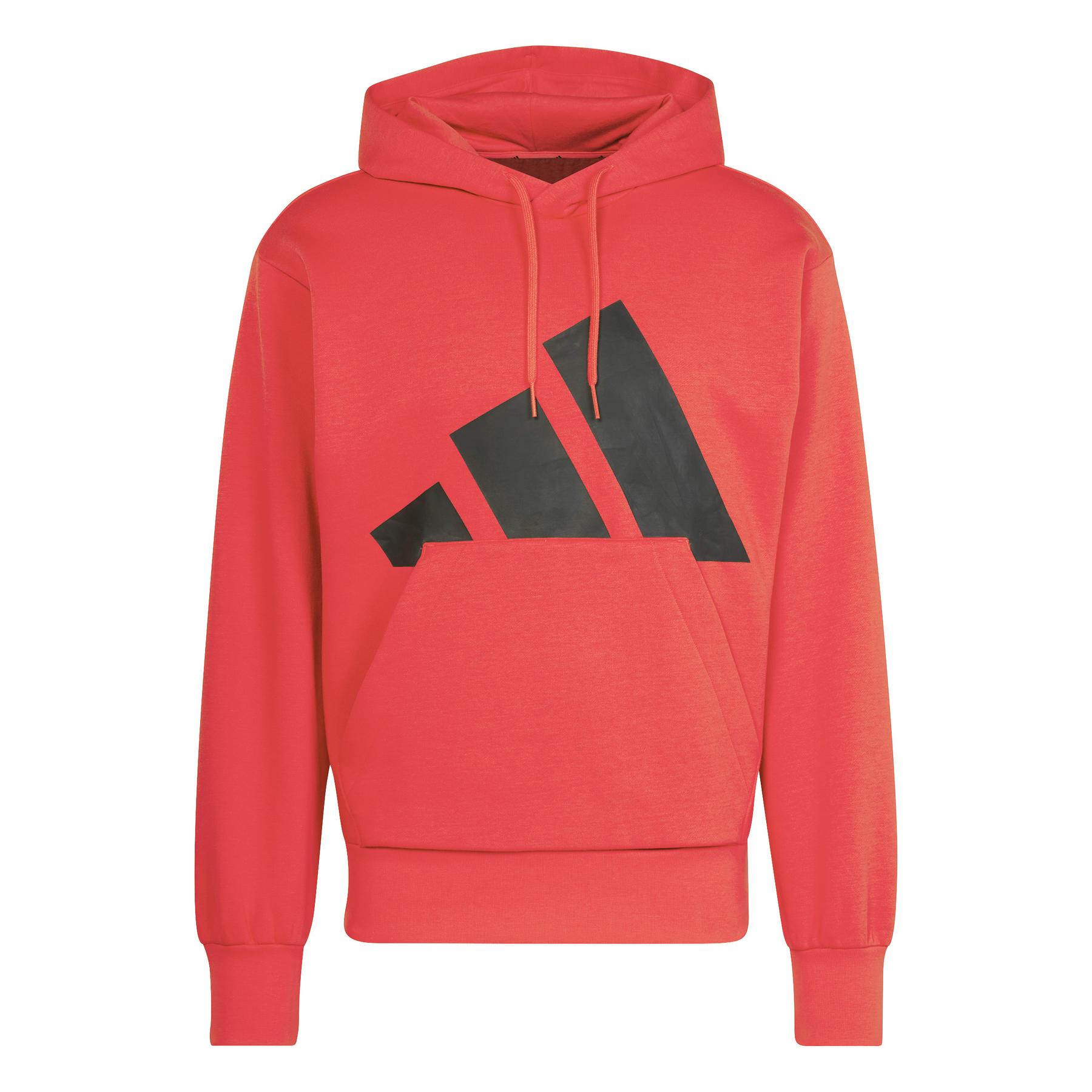 4067906063054 - Hoodie adidas Essentials Big Logo Fleece