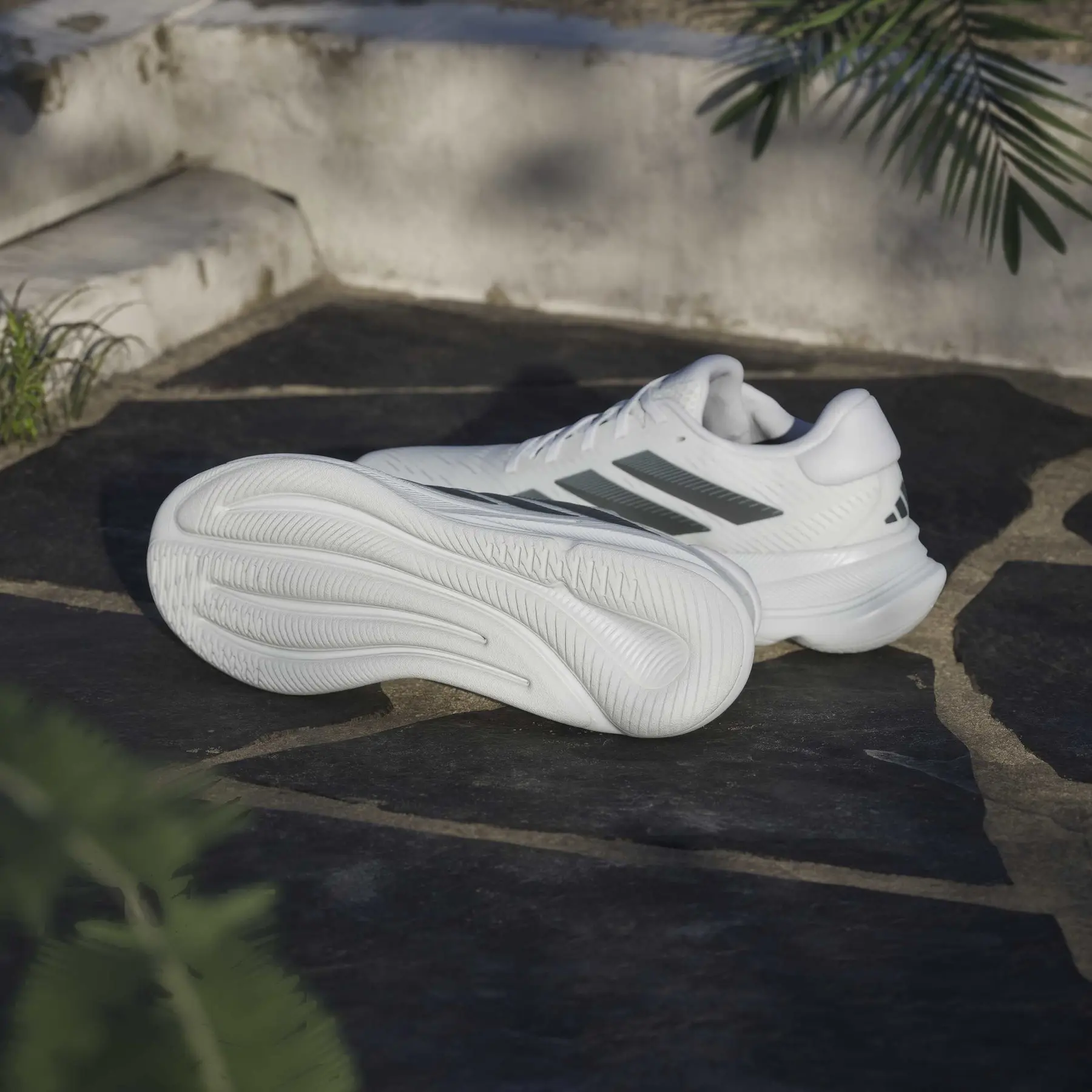 Running shoes adidas Supernova Ease | Direct-Volley