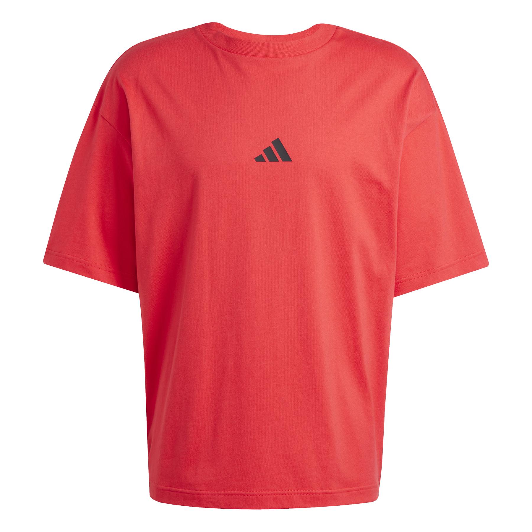 4067905778652 - T-Shirt adidas Future Icons Small Logo