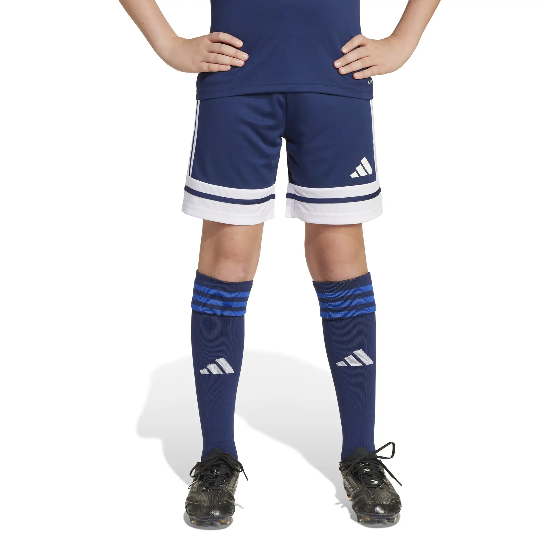 Shorts für Kinder adidas Squadra25