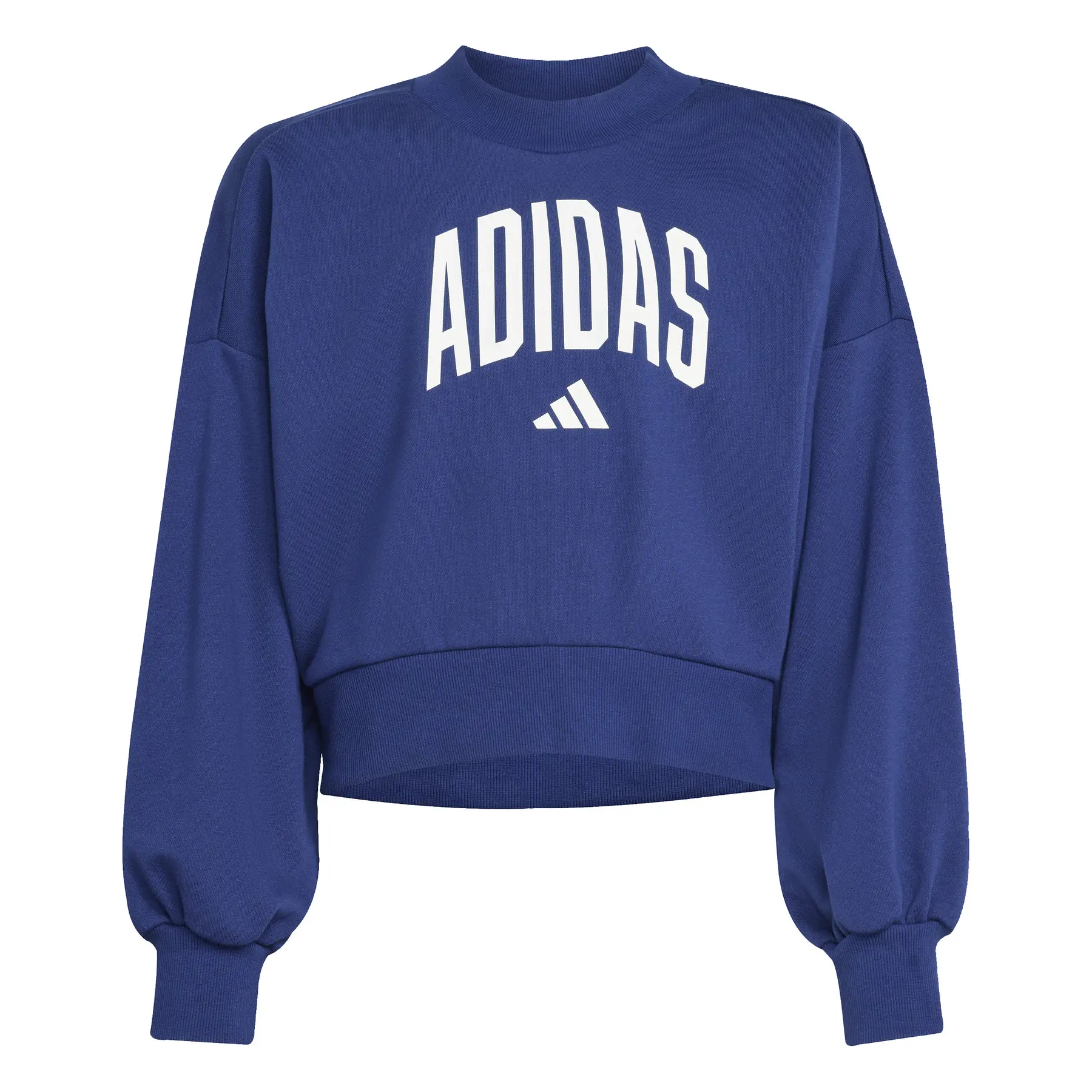4068808253864 - Pullover Mädchen adidas Essentials Collegiate Typography