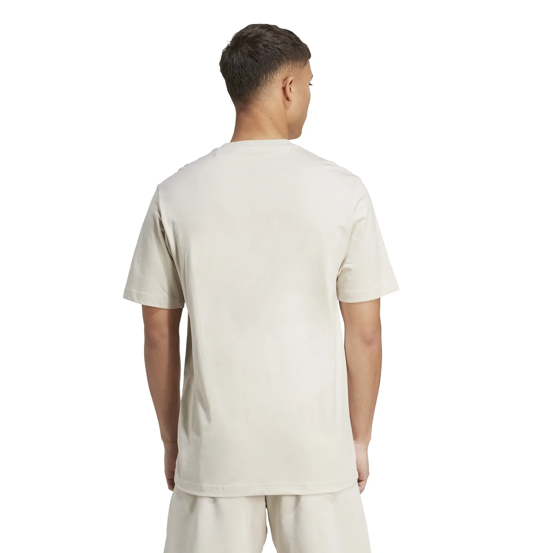 T-shirt adidas Collegiate Lineage Graphic | Foot-Store