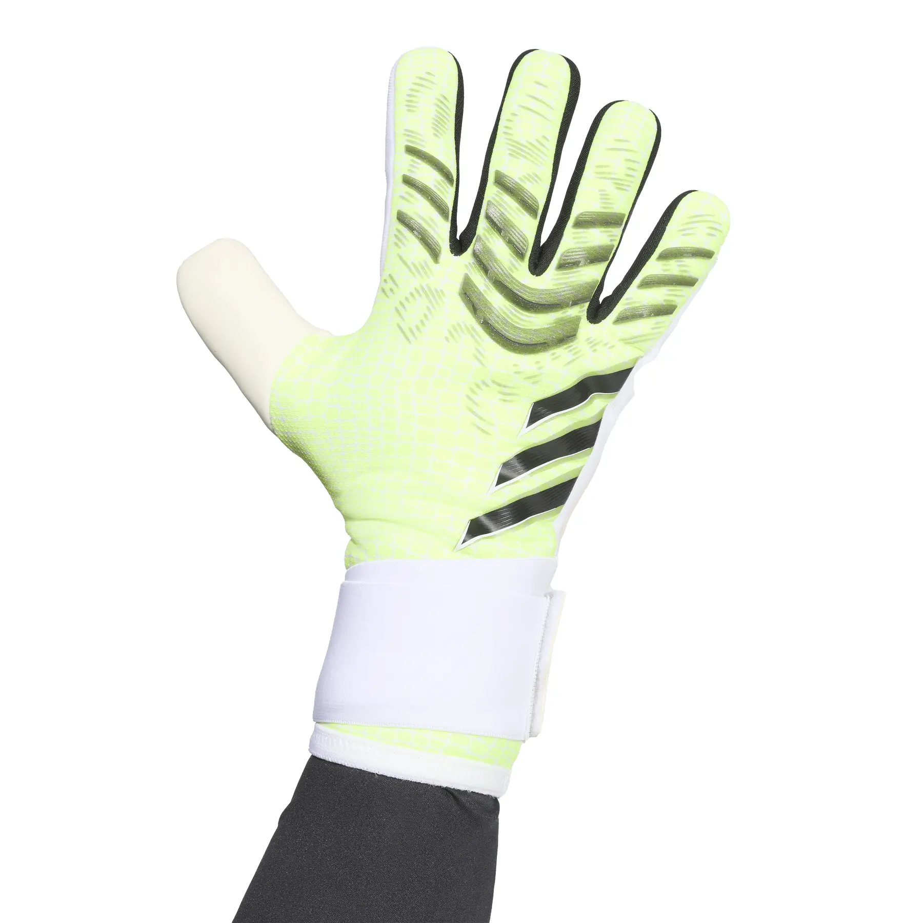 Torwarthandschuhe Adidas Predator Glove Competition