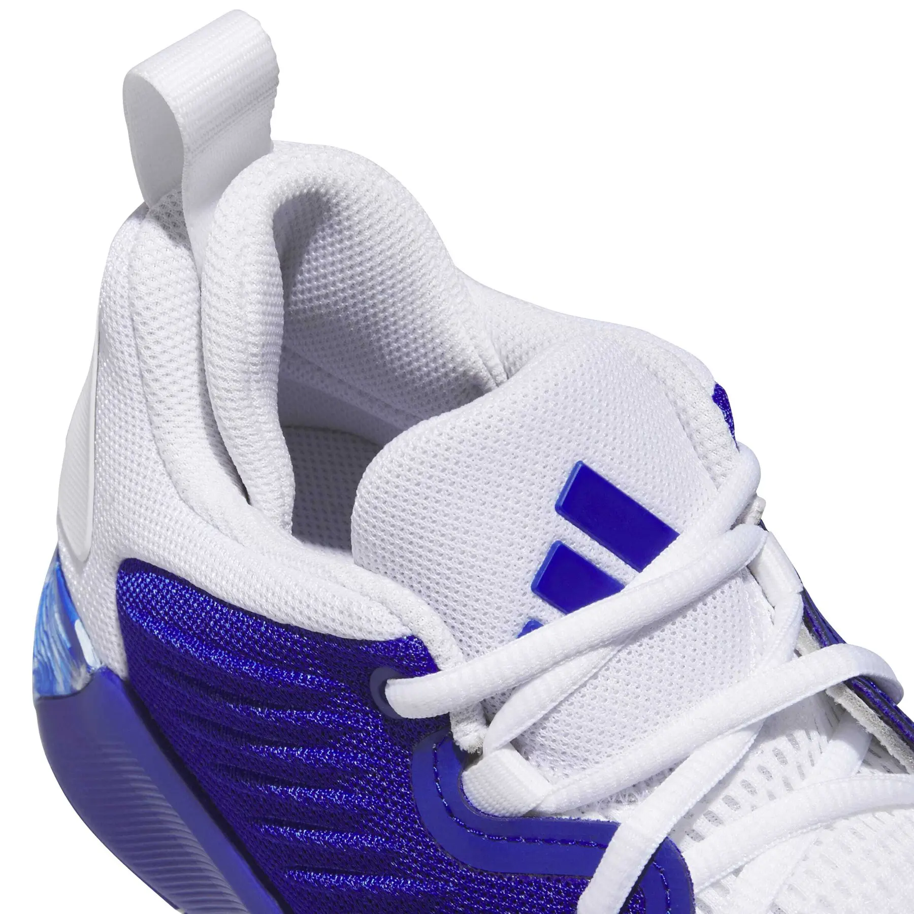 adidas gazelle silver green womens adidas Men's Adizero Evo SL Cloud White/Royal Blue/Pure Ruby / 12