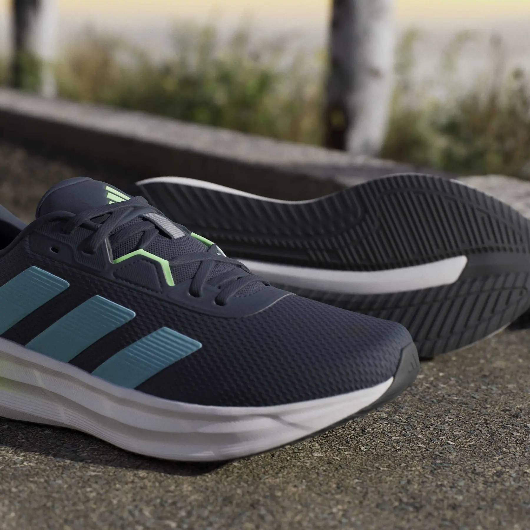 Running shoes adidas Galaxy 7 | Trek-Expert