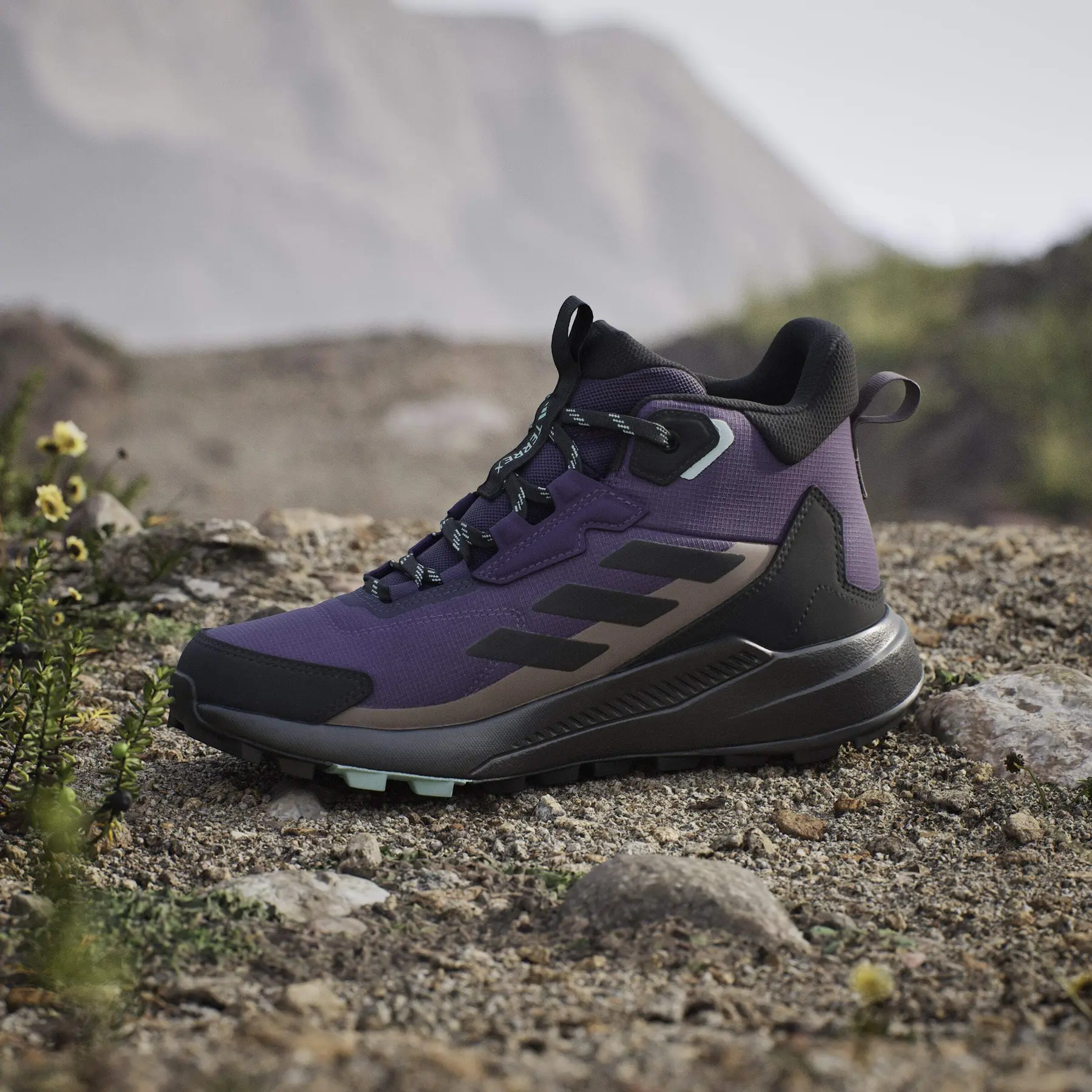 Women's mid-height hiking shoes adidas Terrex Anylander Rain.Rdy