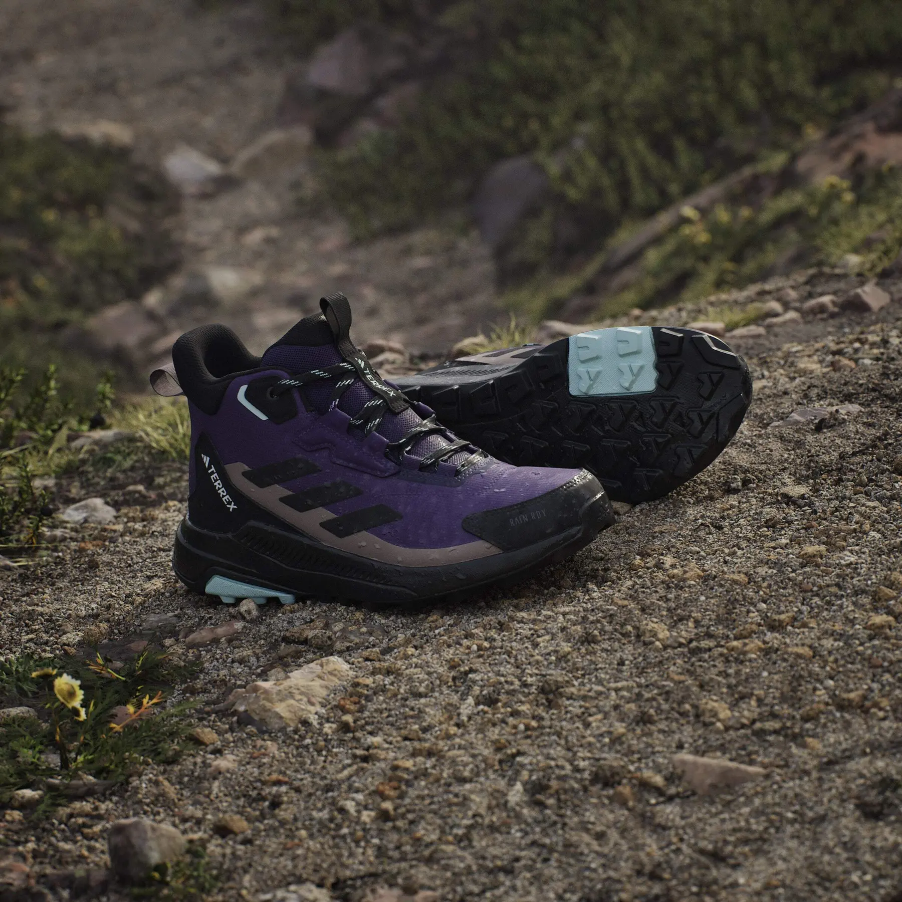 Women's mid-height hiking shoes adidas Terrex Anylander Rain.Rdy