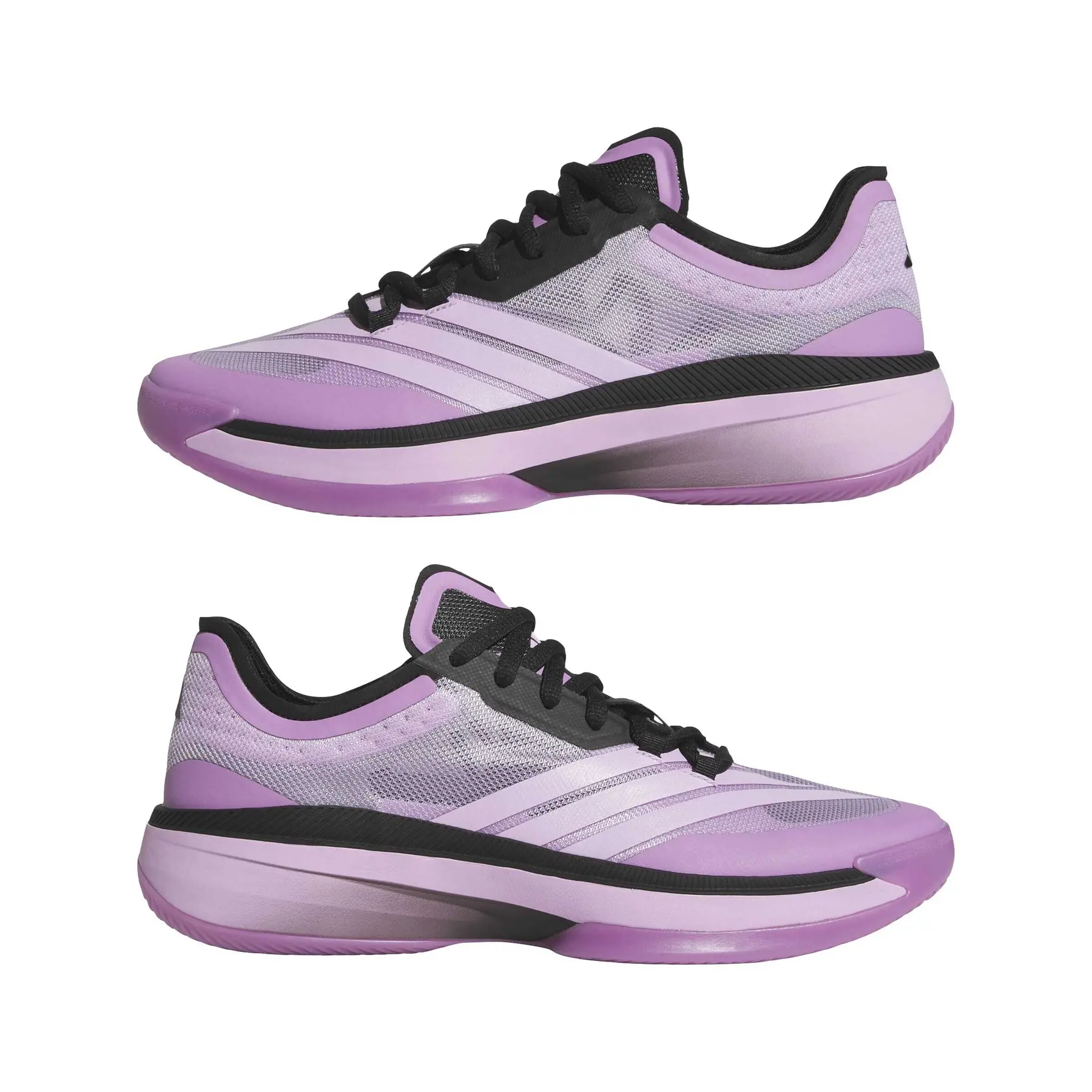 Basketball shoes adidas Adizero Select 3.0 | Direct-Volley