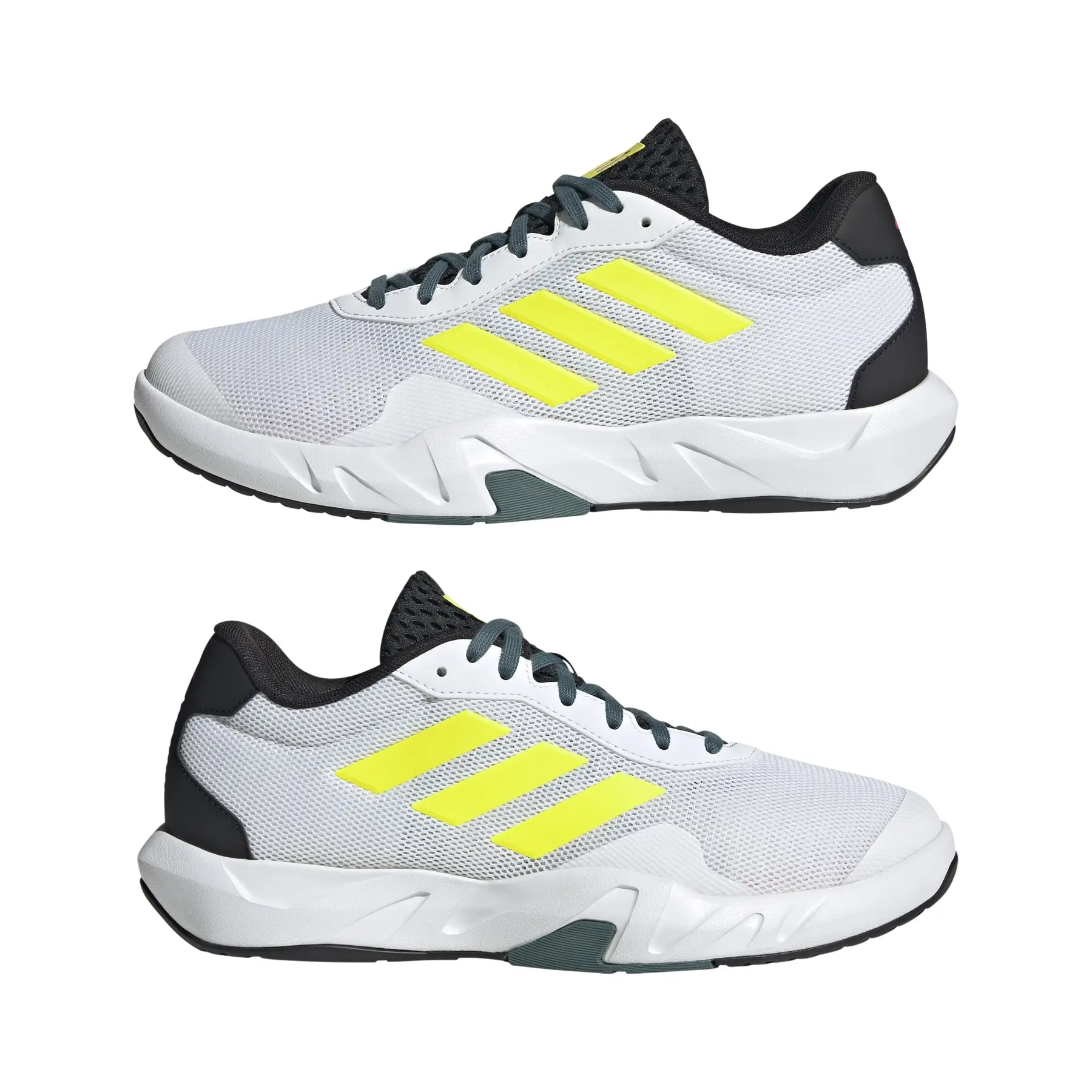 Cross training shoes adidas Amplimove | Direct Running