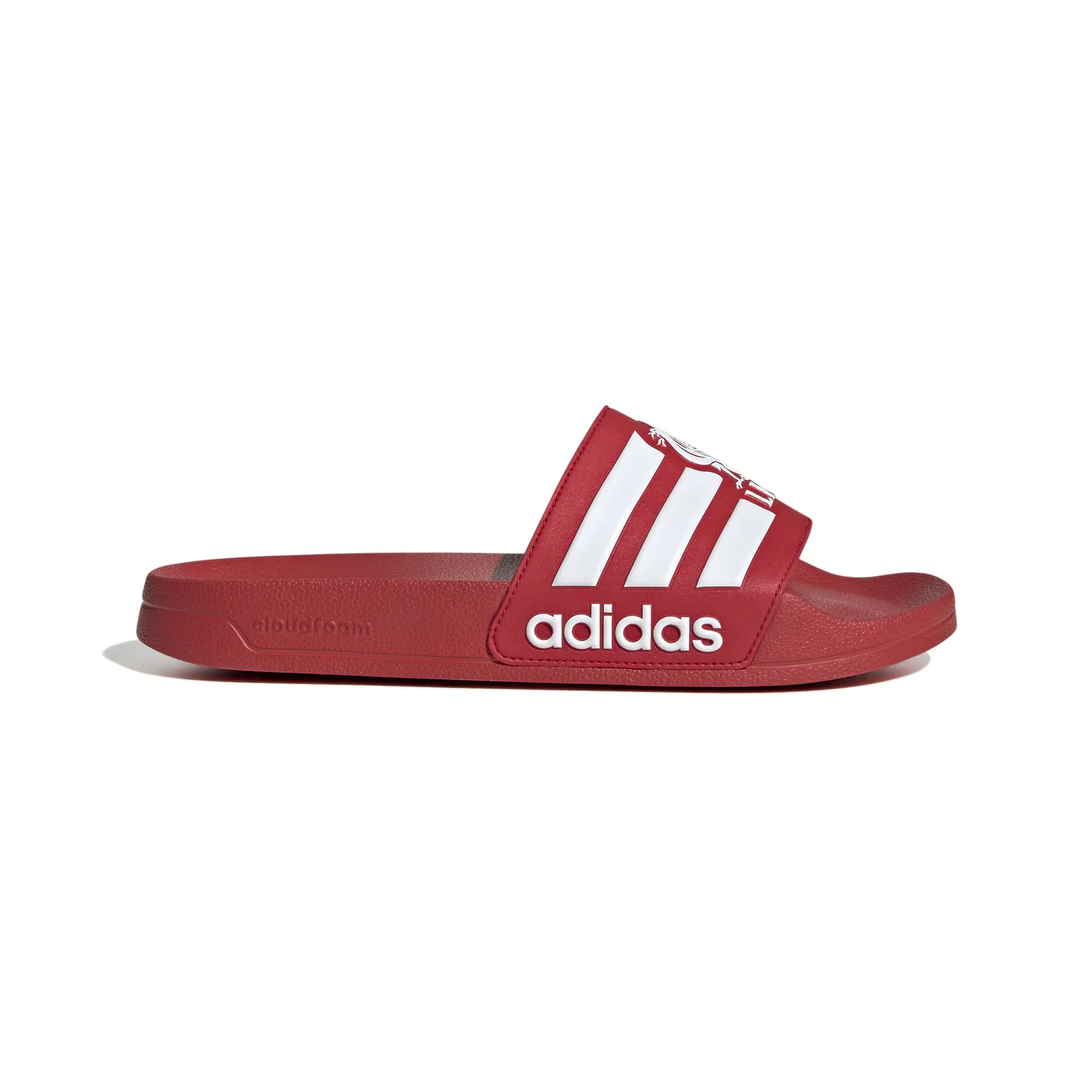 Adilette-Sandalen Liverpool FC 2025/26