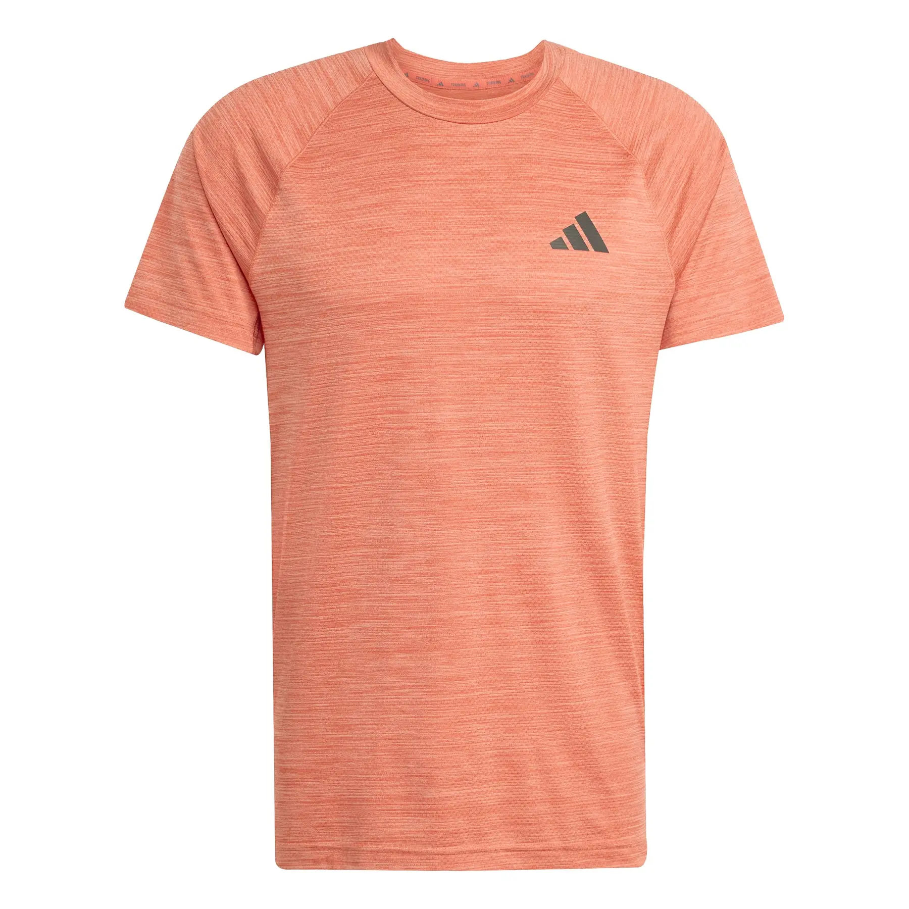 T-Shirt adidas Gym+