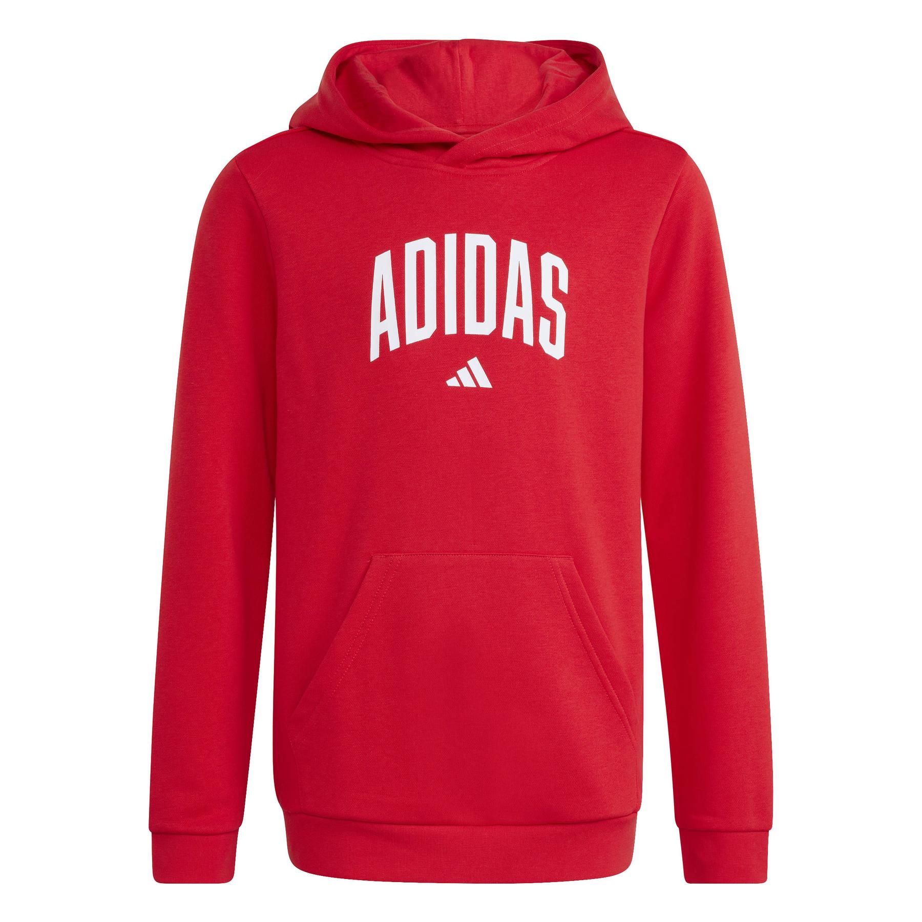 4068814119581 - Hoodie Kinder adidas Codes Collegiate Graphic