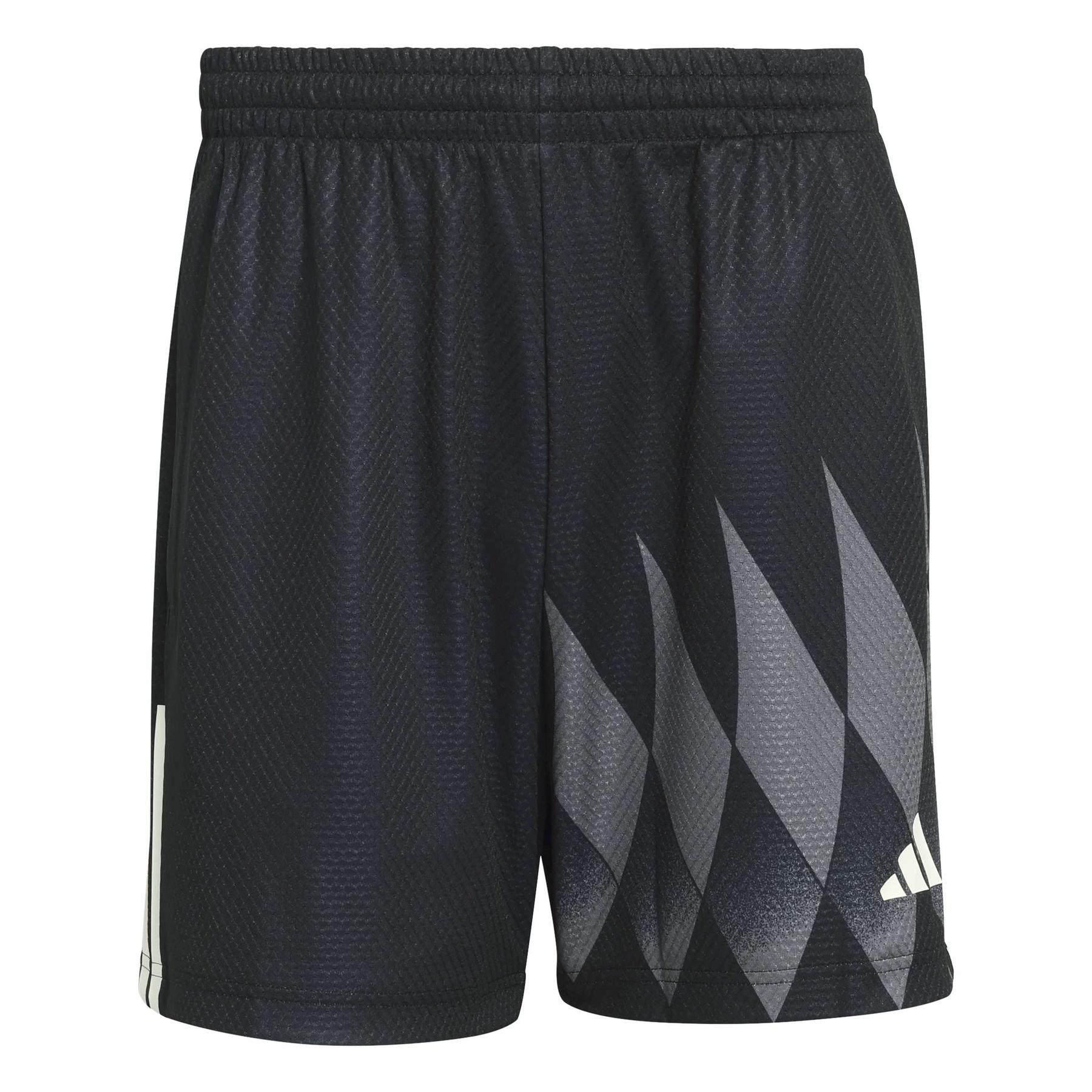 4068822948401 - Shorts adidas House Of Tiro X Common