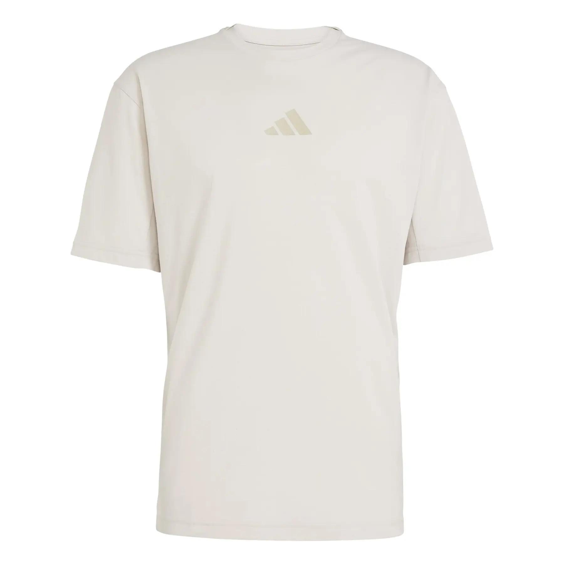Adidas Men's Gris T-Shirt Terrex Xploric Climacool+