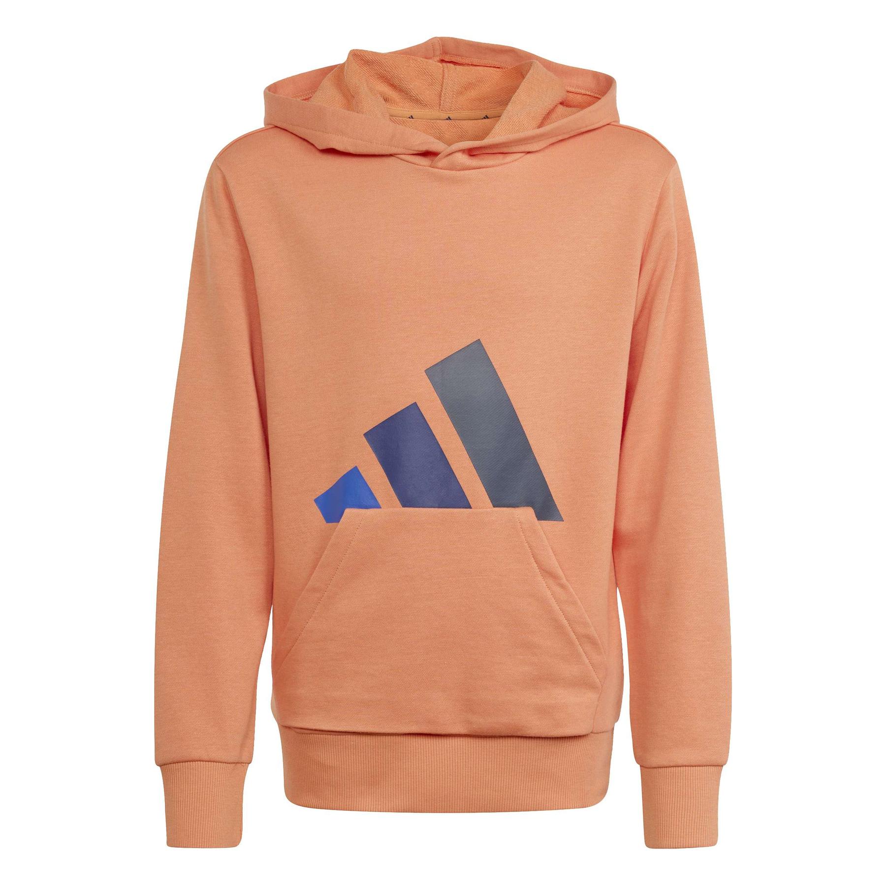 4068819672500 - Hoodie Kinder adidas Essentials