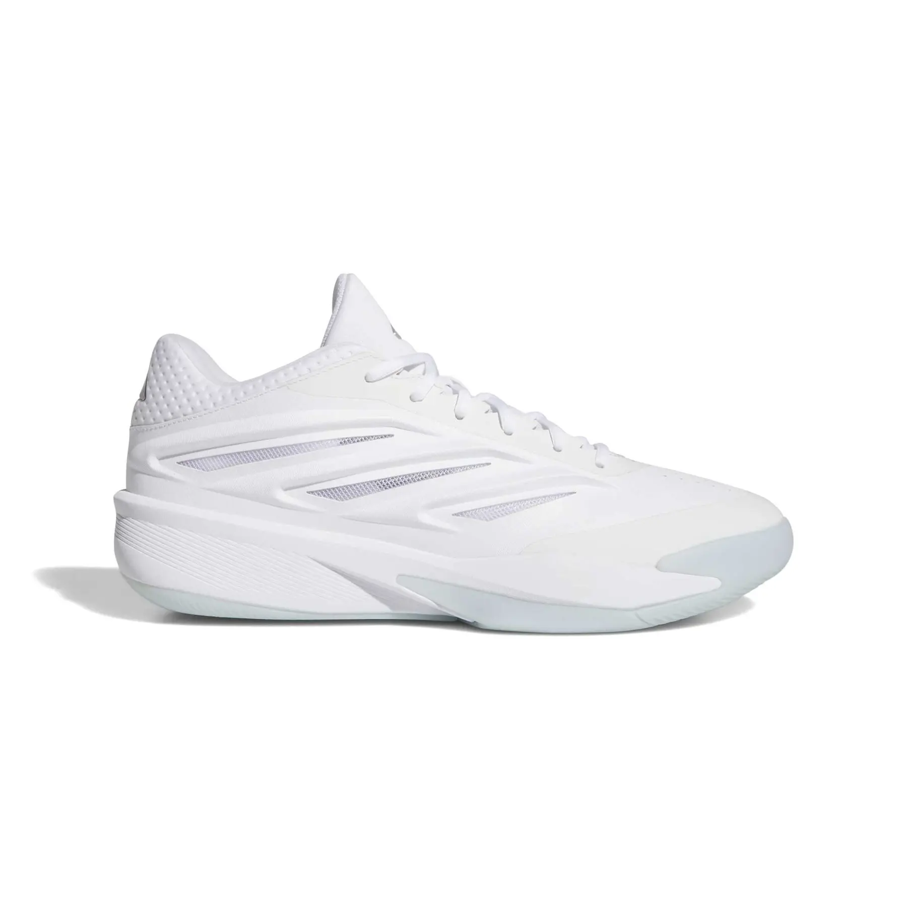 Basketballschuhe adidas Crazy Energy