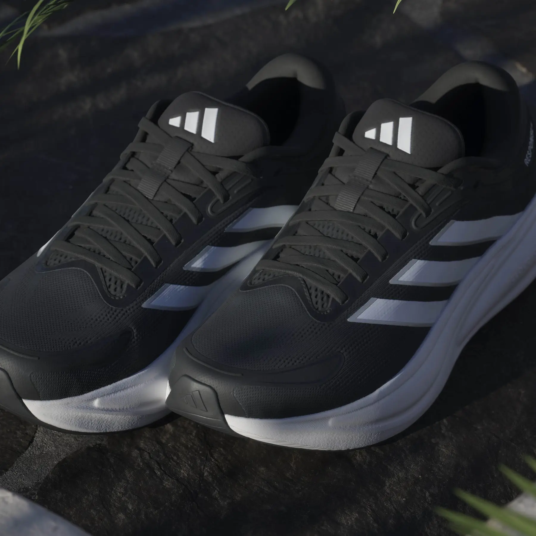 adidas gazelle silver green womens Men's Adidas, Adipure Shift Running Shoe  Peltz Shoes