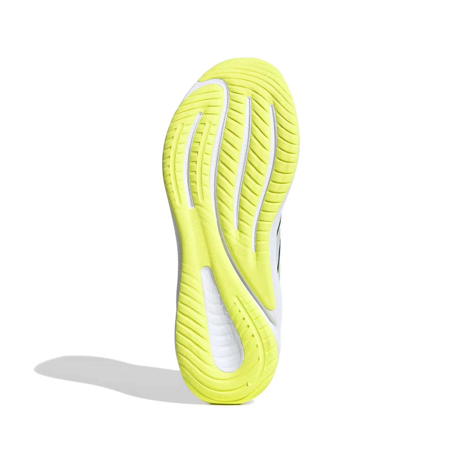 Running shoes adidas Supernova Ease 2 | Trek-Expert