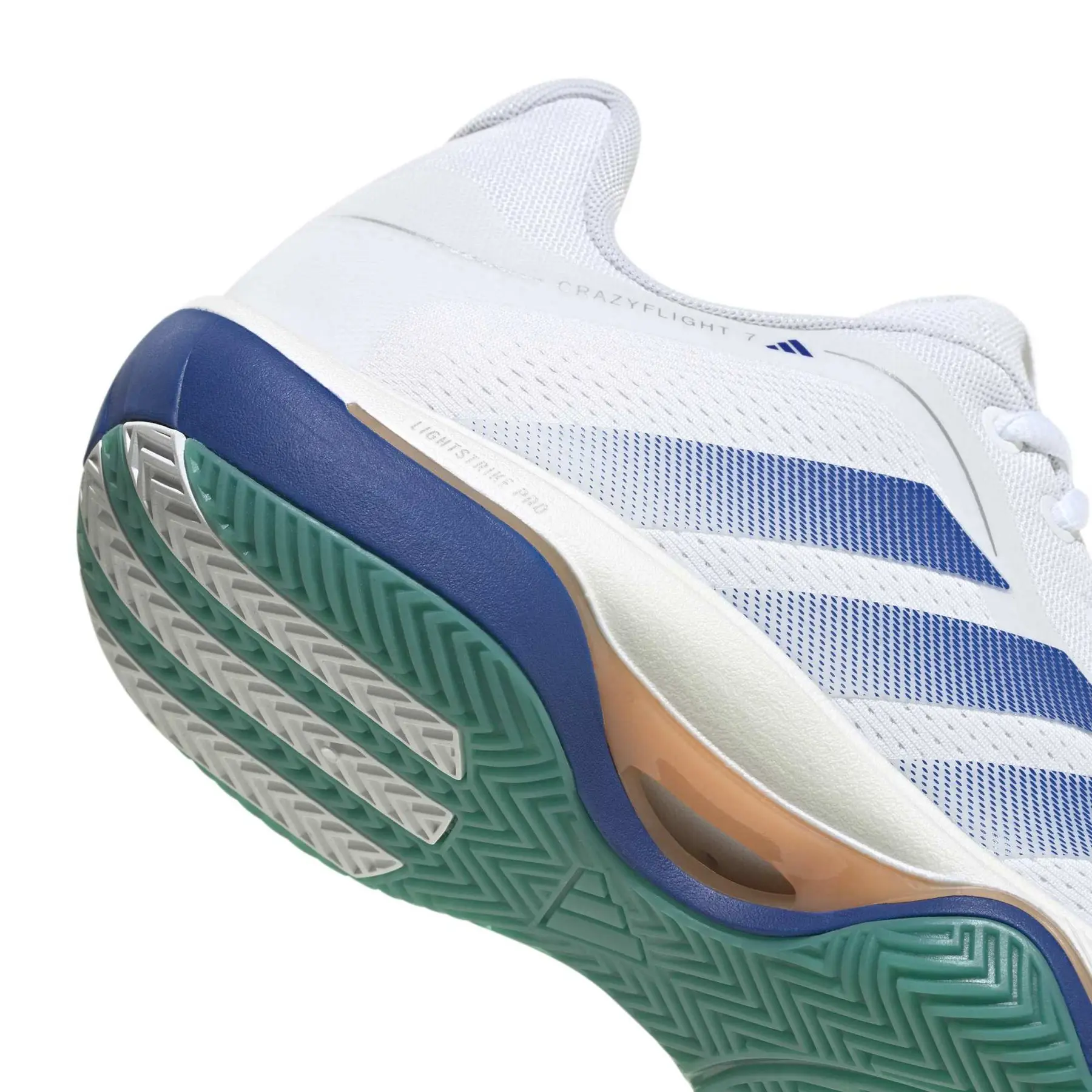 Indoor Shoes adidas Crazyflight 7 | Direct-Volley