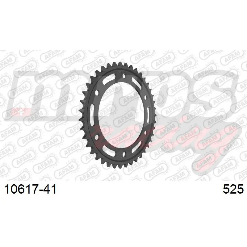 Krone Stahl #525 Afam CBR RR 10617 41T