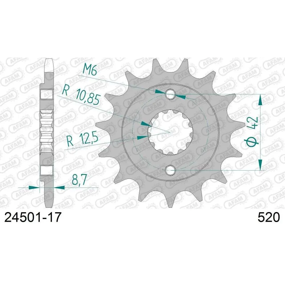 Zahnrad Afam 520 17 T