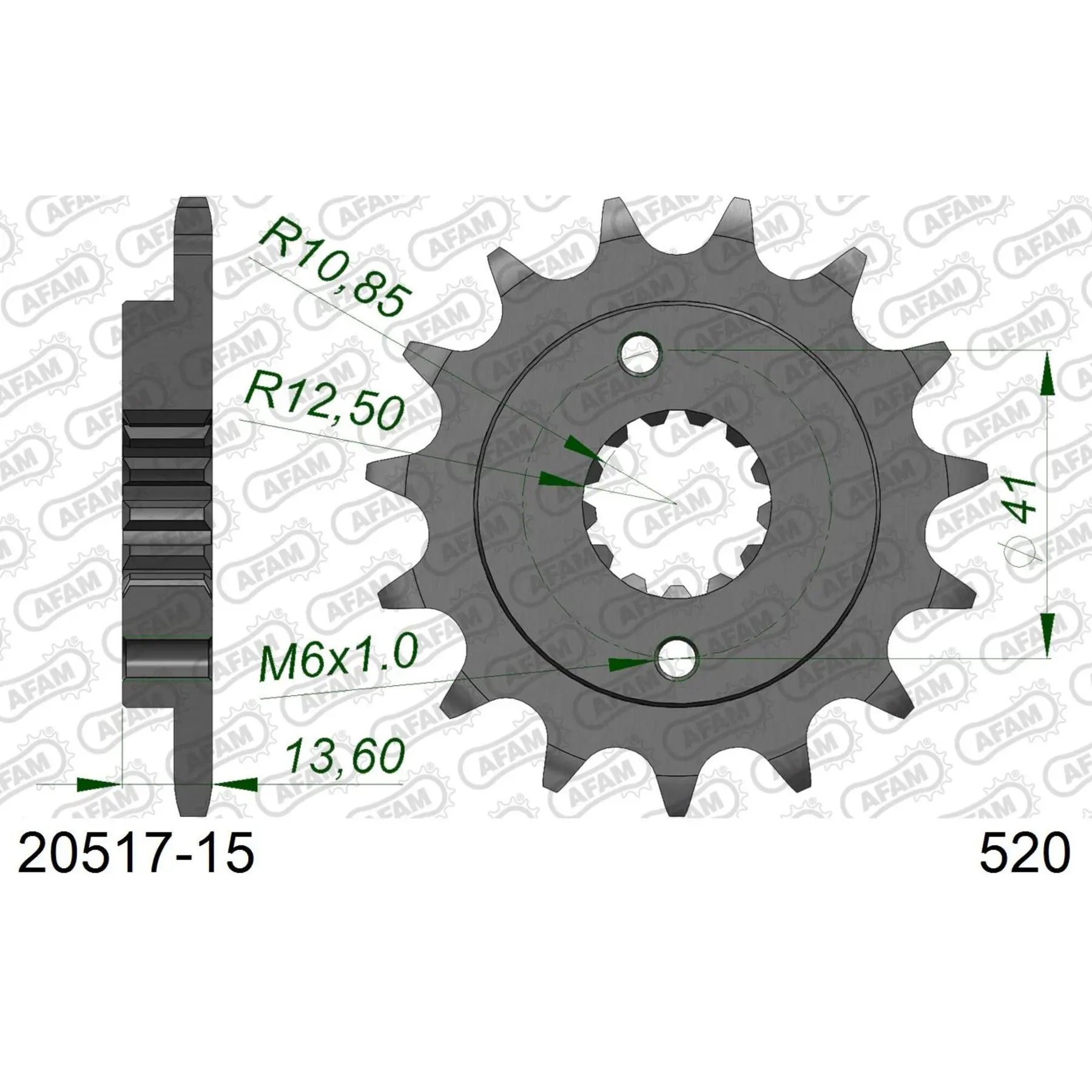 Zahnrad Afam 520 15 dents
