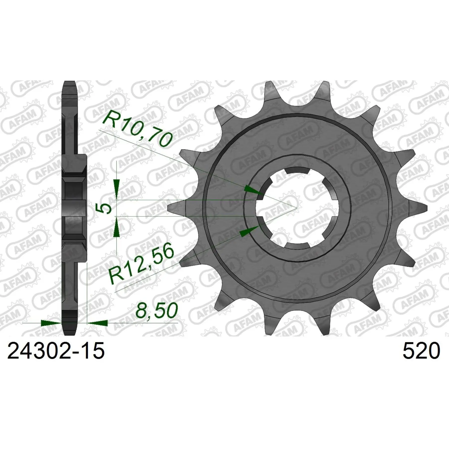 Zahnrad Afam 520 15 dents