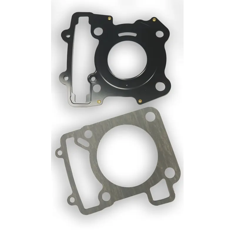 Dichtung Motorradmotor Airsal KTM 125 Duke ABS [125] / 125 Duke [125]
