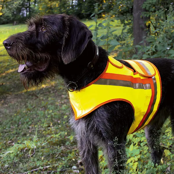 Gilet de sécurité pour chien signalisation Akah
